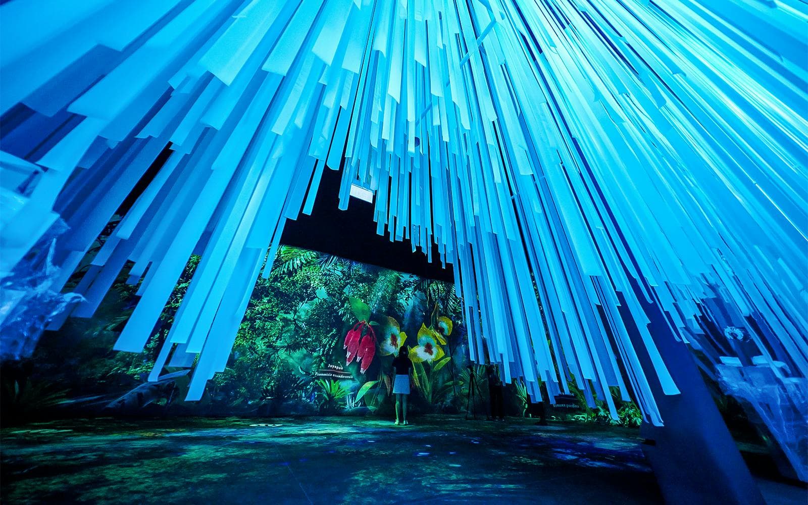 Gardens by the Bay Tickets: Cloud Forest ft. Jurassic World Experience +  Flower Dome + Supertree Observatory - image 4