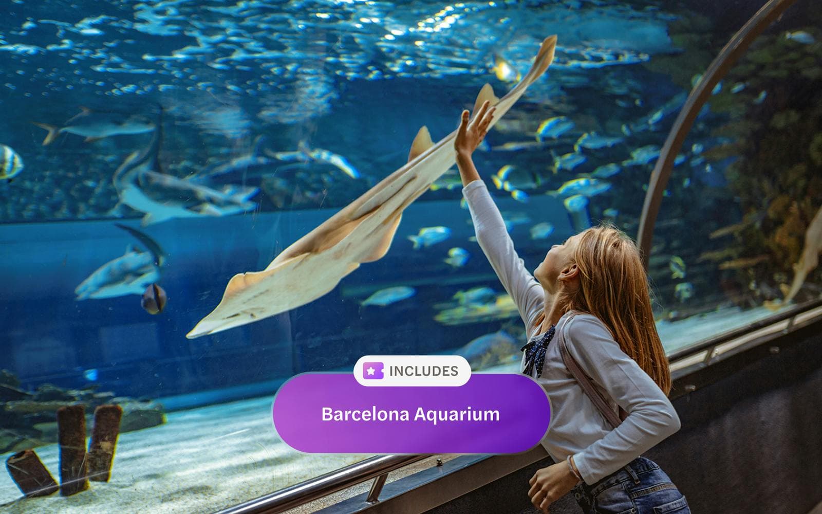 Karta Headout Barcelona Pass: Sagrada Familia, Park Güell, Casa Batlló + nieograniczony dostęp do transportu publicznego i nie tylko - image 10