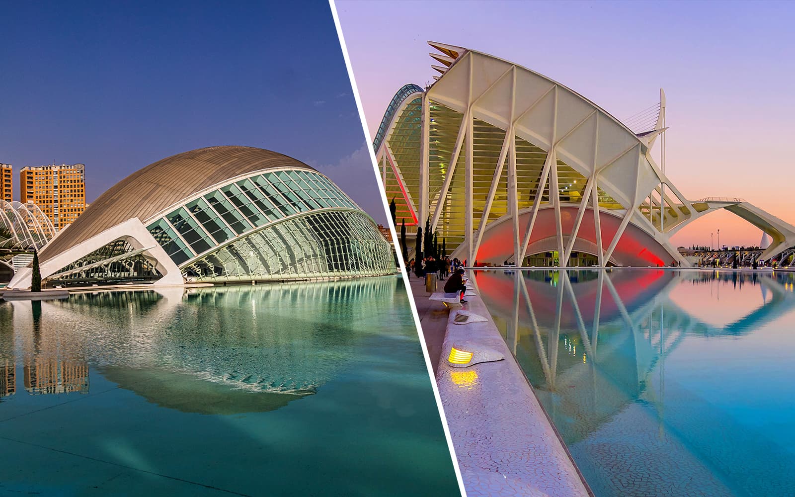Combo: entradas al Hemisfèric y al Museo de las Ciencias