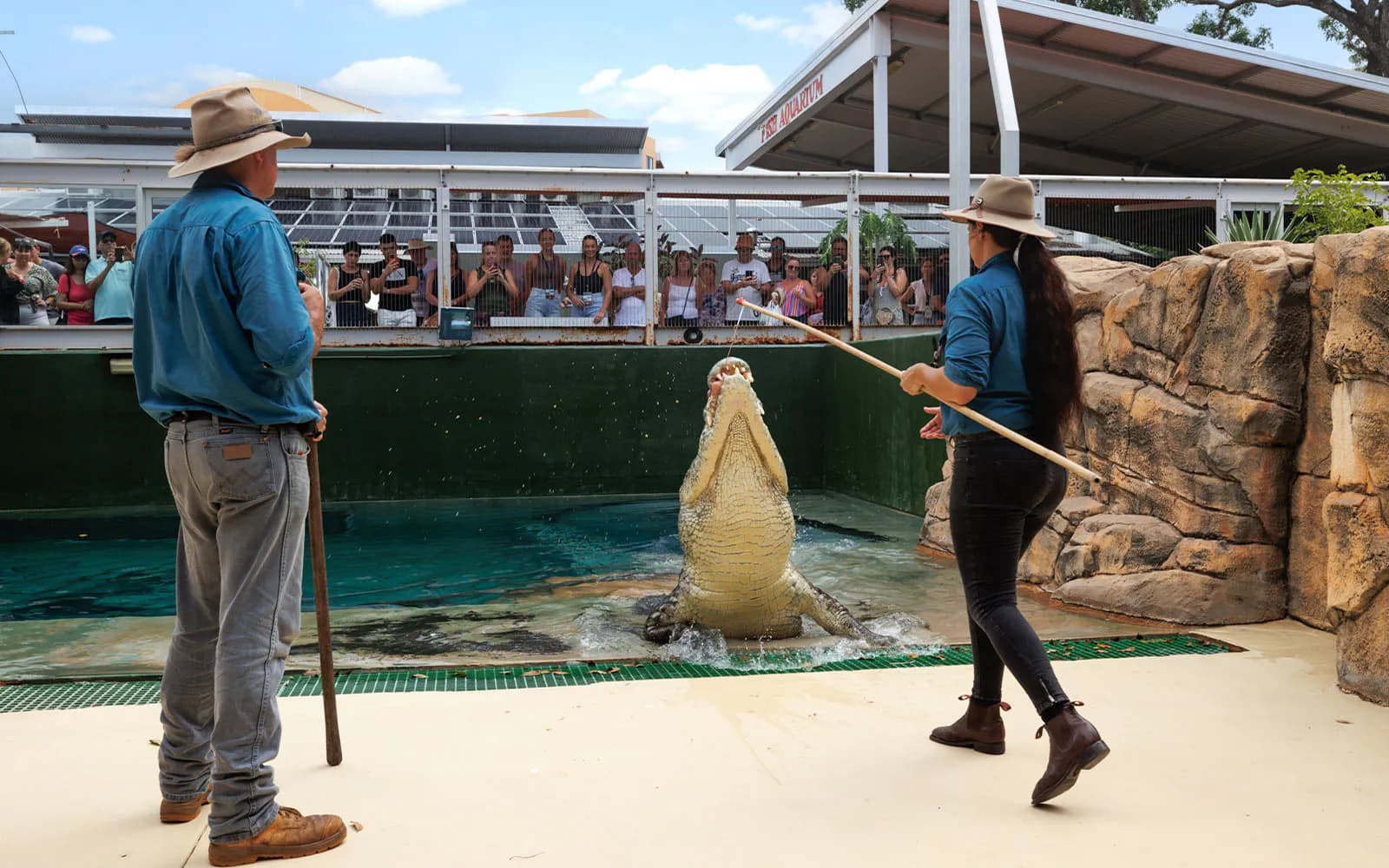 Combo: Crocosaurus Cove + Royal Flying Doctor Service Tickets - image 2