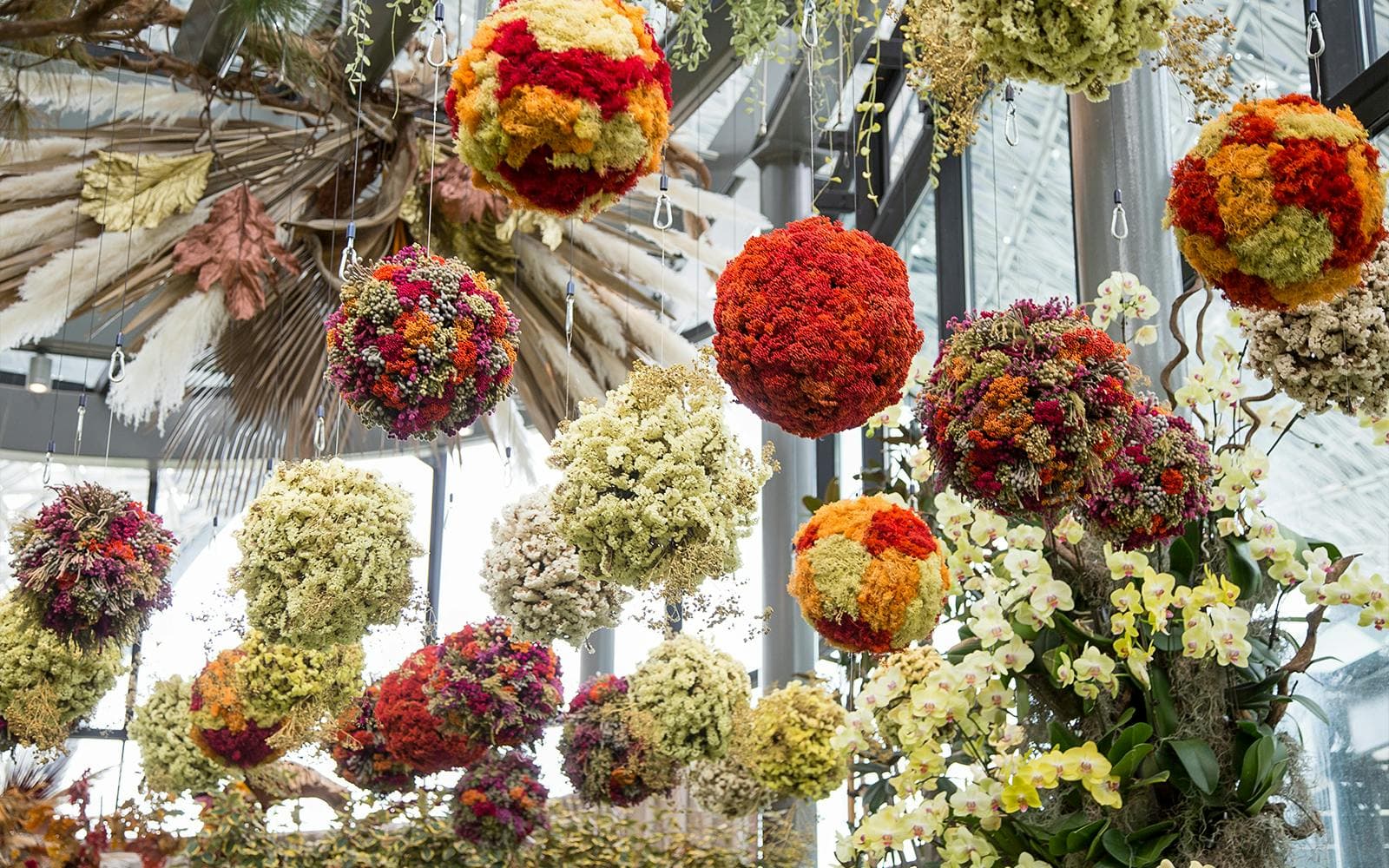 Gardens by the Bay Tickets: Cloud Forest ft. Jurassic World Experience + Flower Dome - image 9
