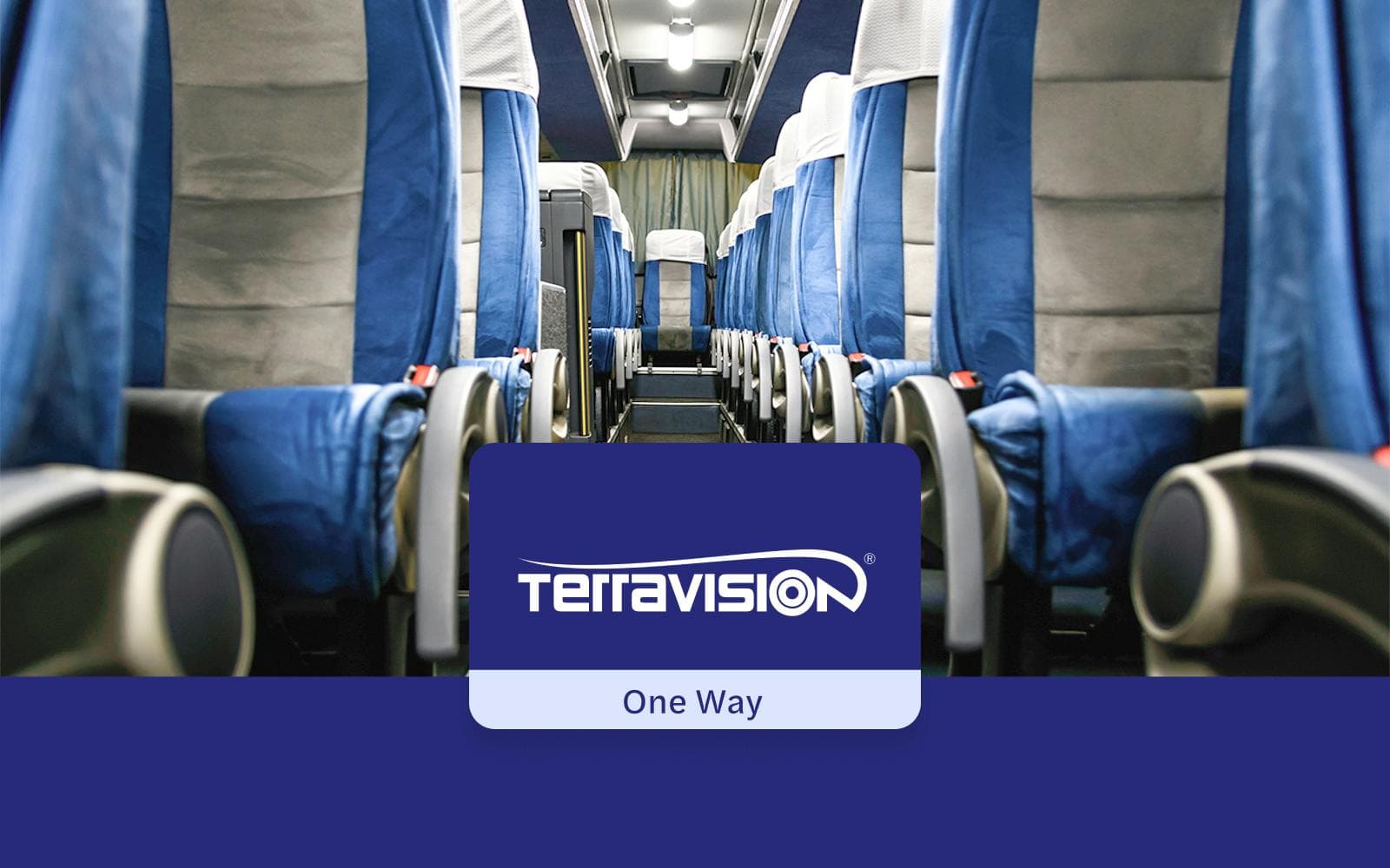 Bustransfer: Busbahnhof des Flughafens Bergamo nach/von Milano Centrale mit Terravision