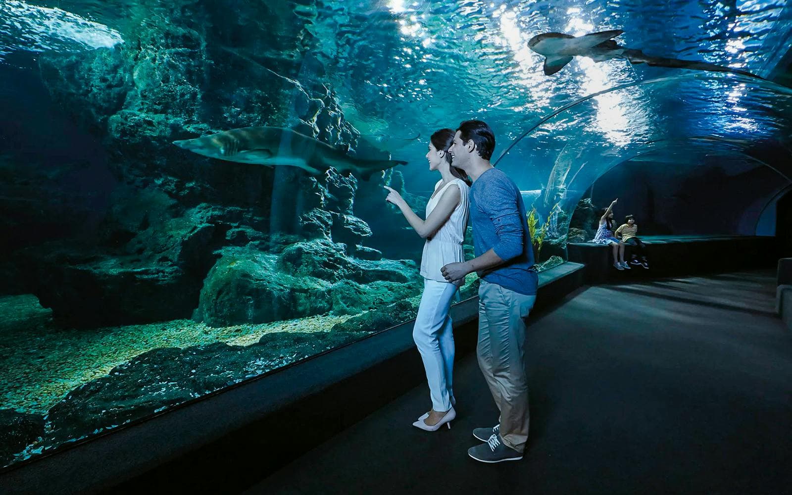 Entradas para SEA LIFE Bangkok