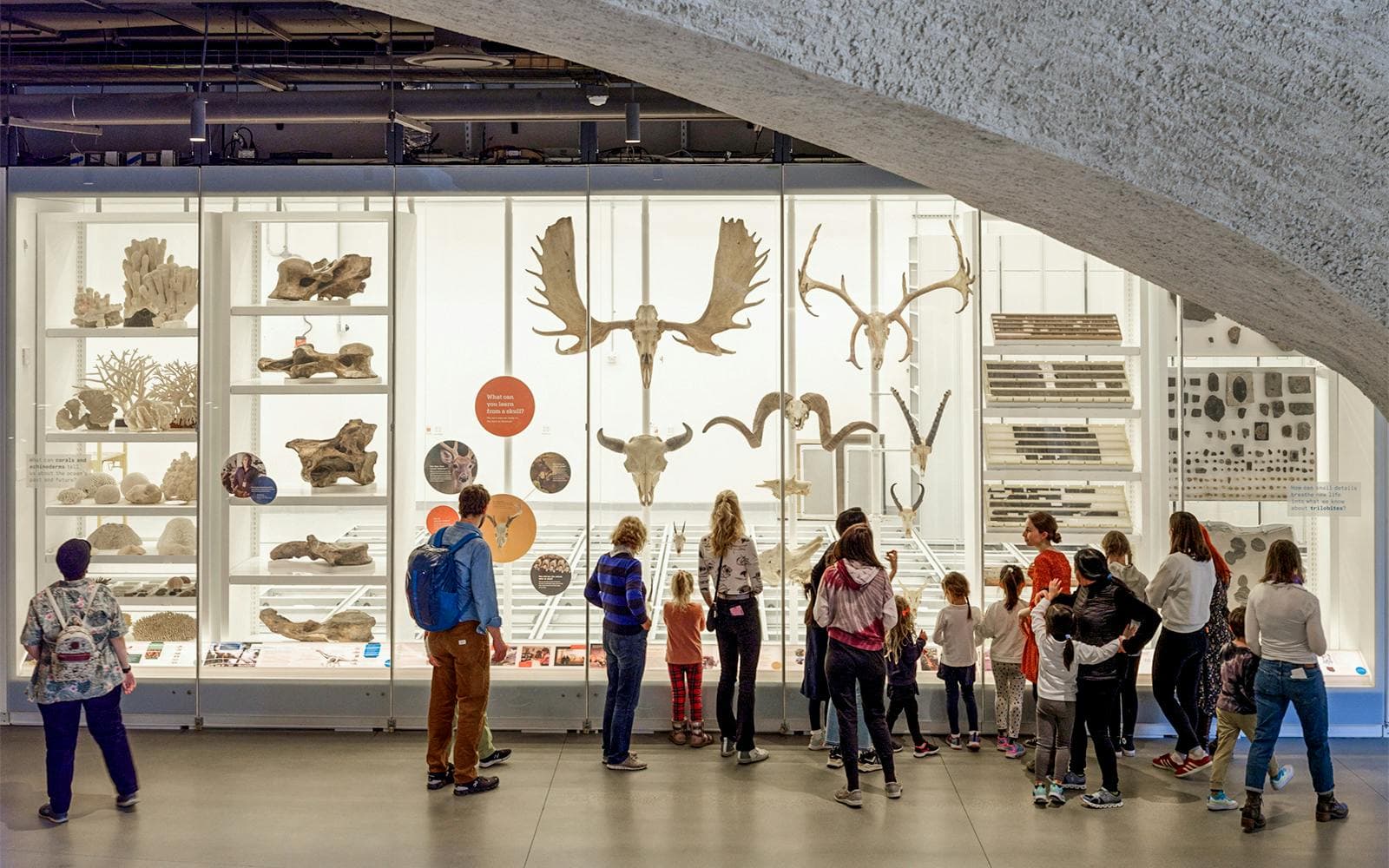 Billets pour le Museum américain d'histoire naturelle - image 2
