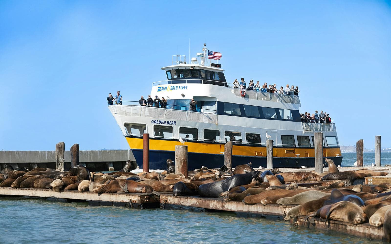 Croisière dans la baie du Golden Gate à San Francisco - image 4