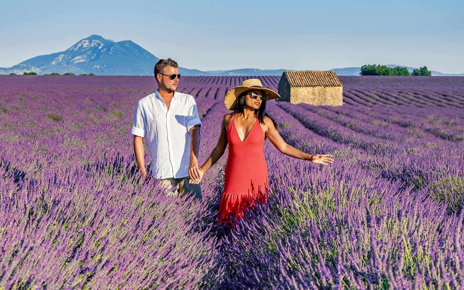 Vanuit Aix-En-Provence: rondleiding door lavendelvelden
