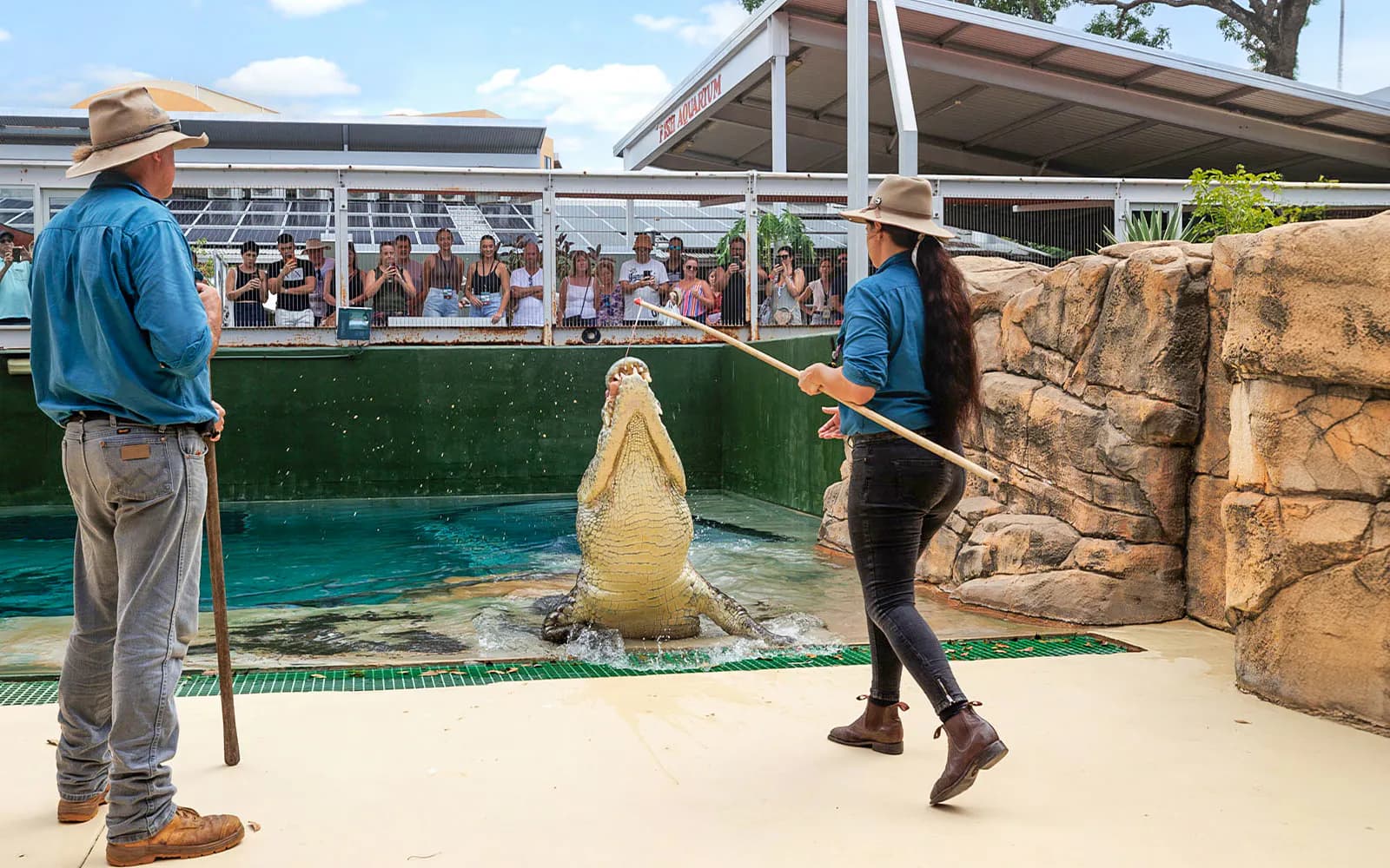 Crocosaurus Cove Tickets - image 1