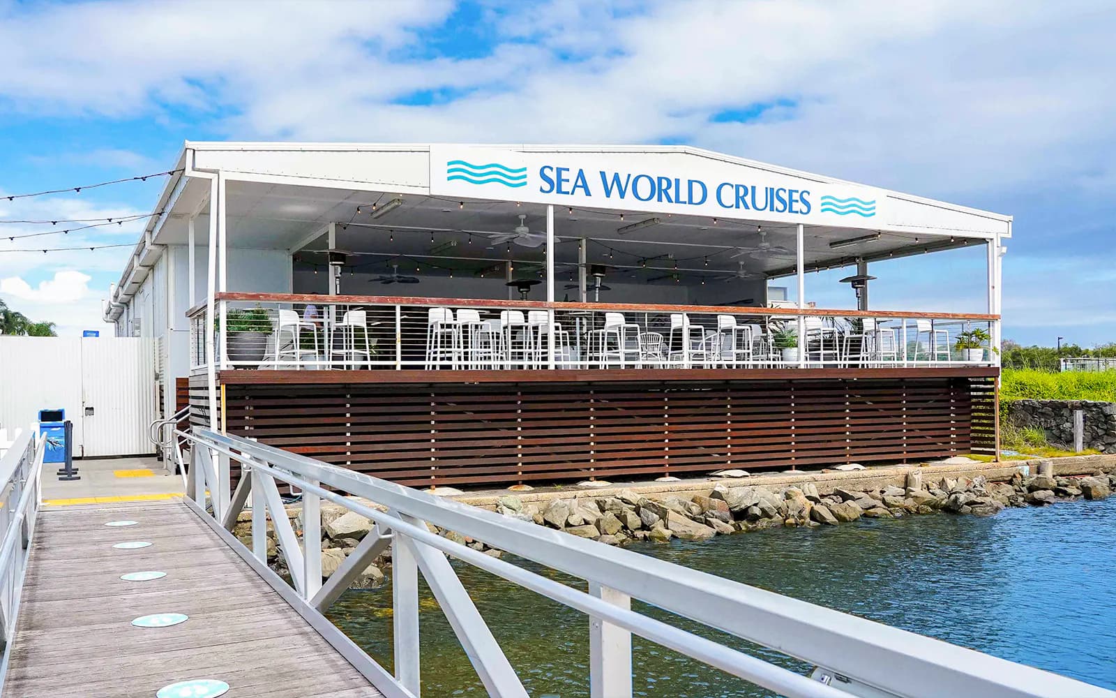 Premium Whale Watching Cruise by SeaWorld - image 9