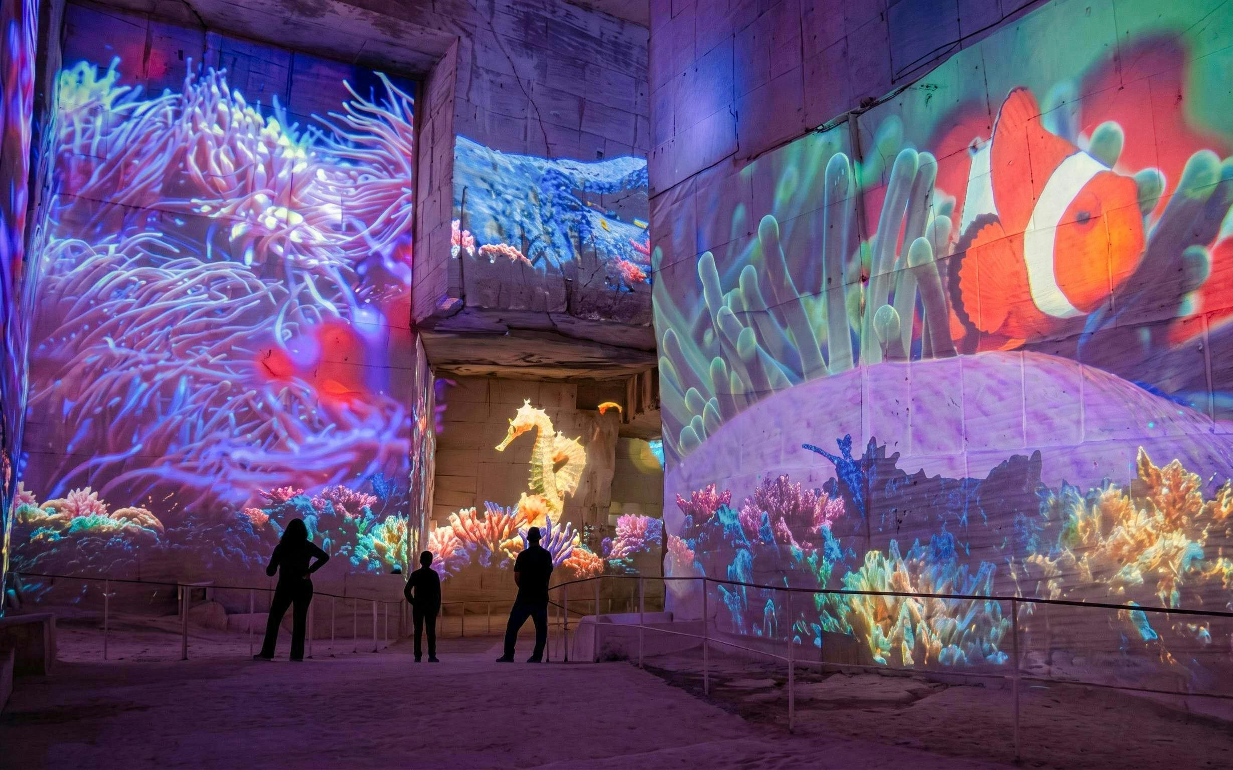 Carrières des Lumières Immersive Experience Tickets - image 6