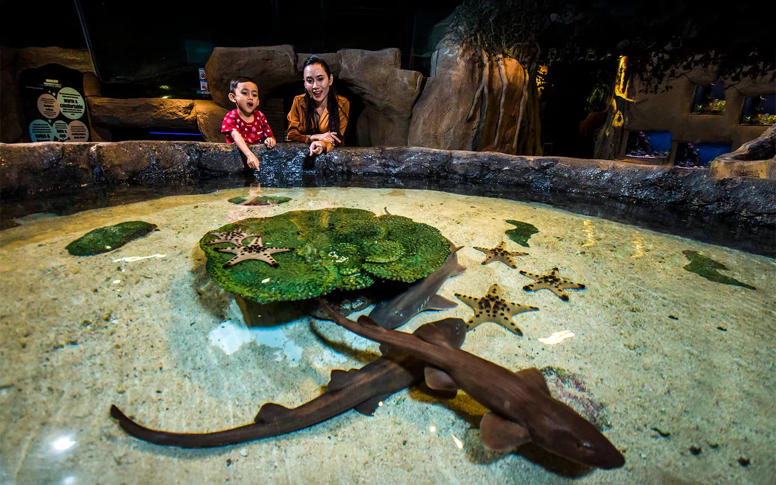 Ingressos para o Aquaria KLCC - image 4