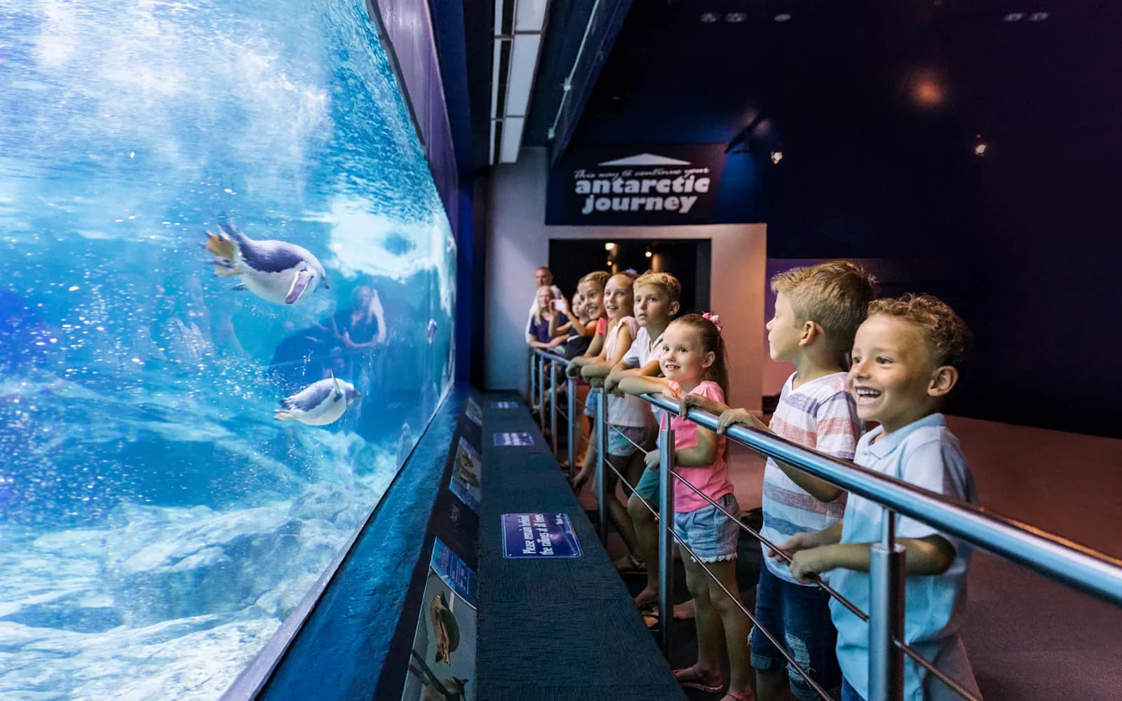 Pase ilimitado de varios días para parques temáticos: Movie World, Sea World y Wet'n'Wild - image 9