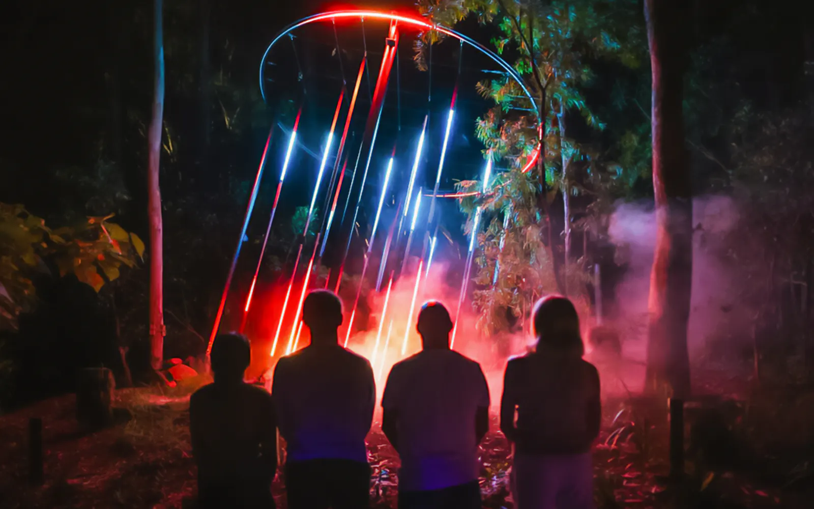 Entradas para Astra Lumina en el Santuario de Vida Silvestre de Currumbin - image 8