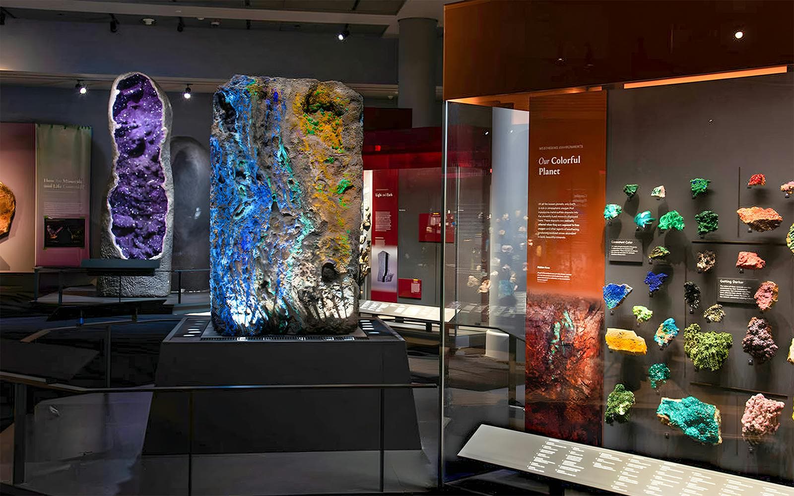 Billets pour le Museum américain d'histoire naturelle - image 4