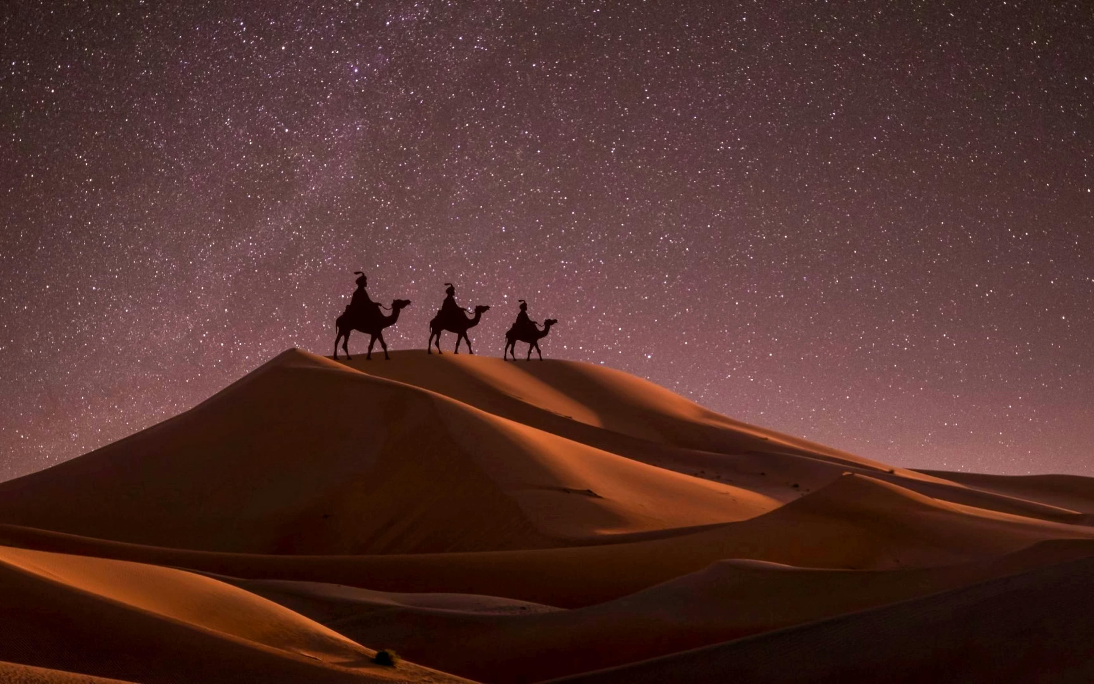 Safari nocturno por el desierto de Doha con observación de estrellas, sandboard, conducción por las dunas y visita al mar interior - image 2