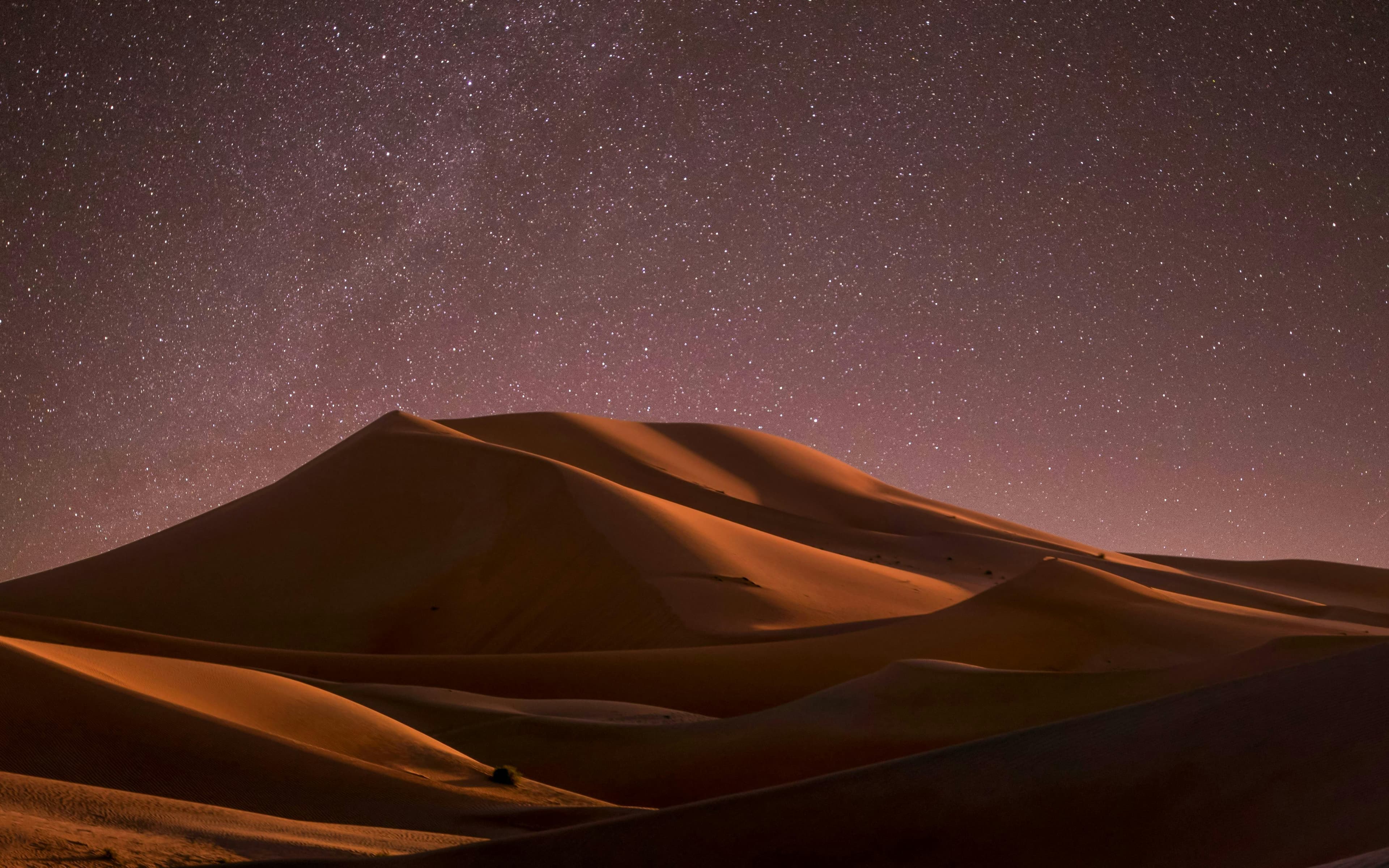 Safari nocturno por el desierto de Doha con observación de estrellas, sandboard, conducción por las dunas y visita al mar interior - image 6