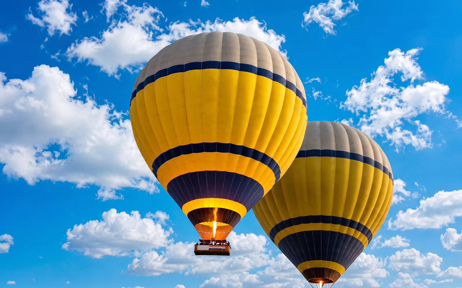 Luxor Sunrise Hot Air Balloon Flight with Round-Trip Hotel Transfers - image 7