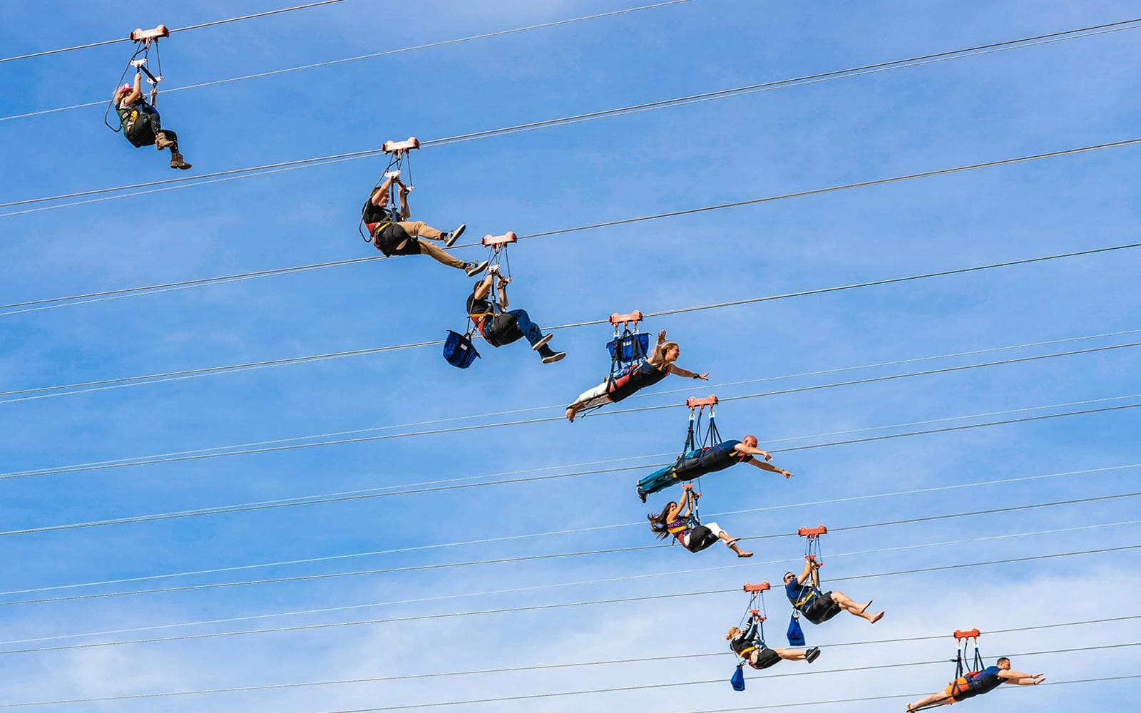 Fly LINQ Zipline Entradas - image 5