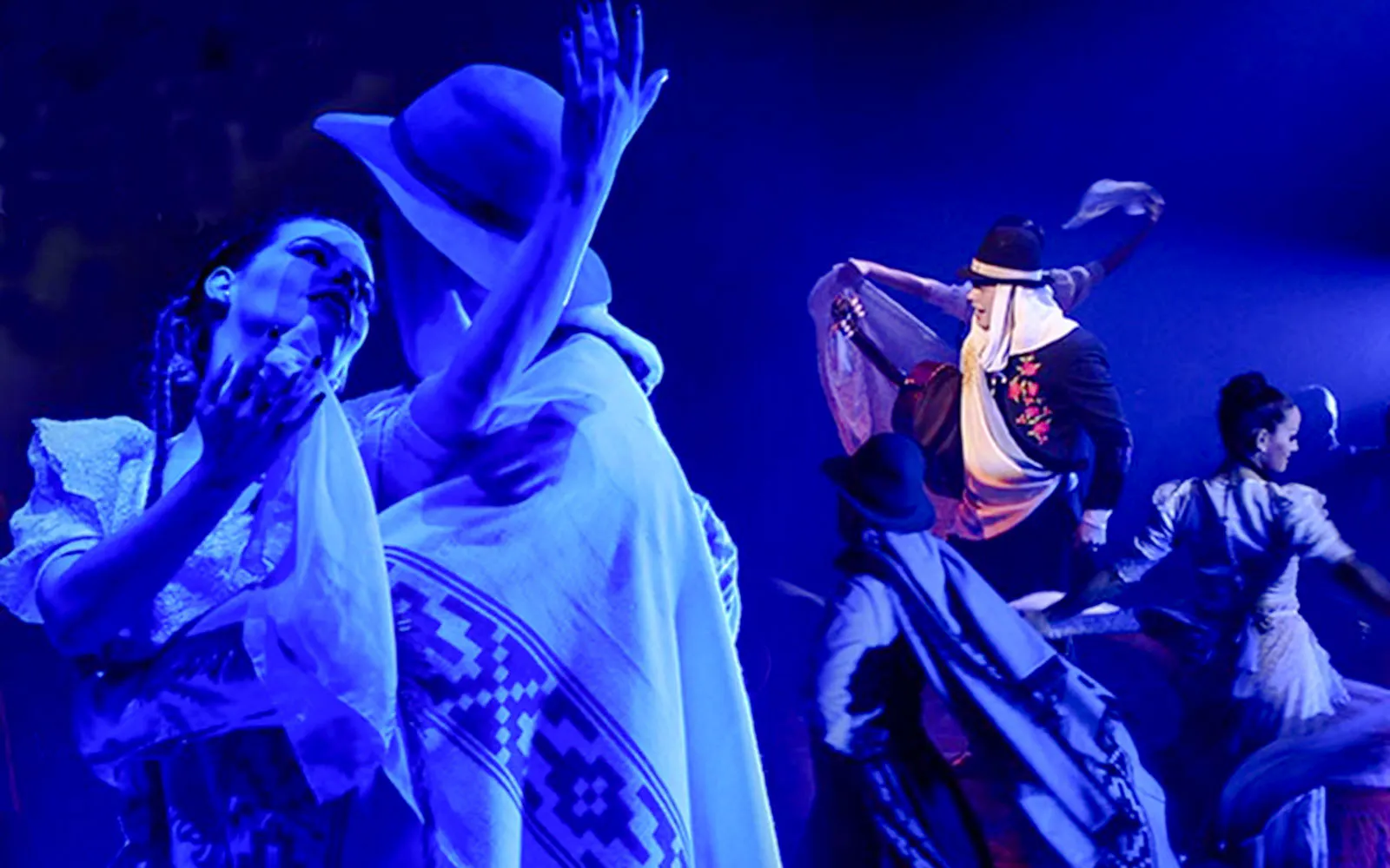 Señor Tango Show - image 9