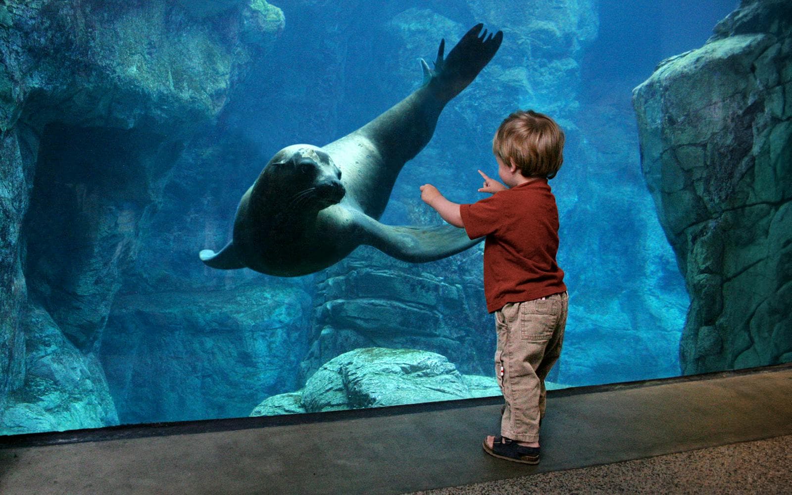 Aquarium of the Pacific Schnelleinlass-Tickets - image 3