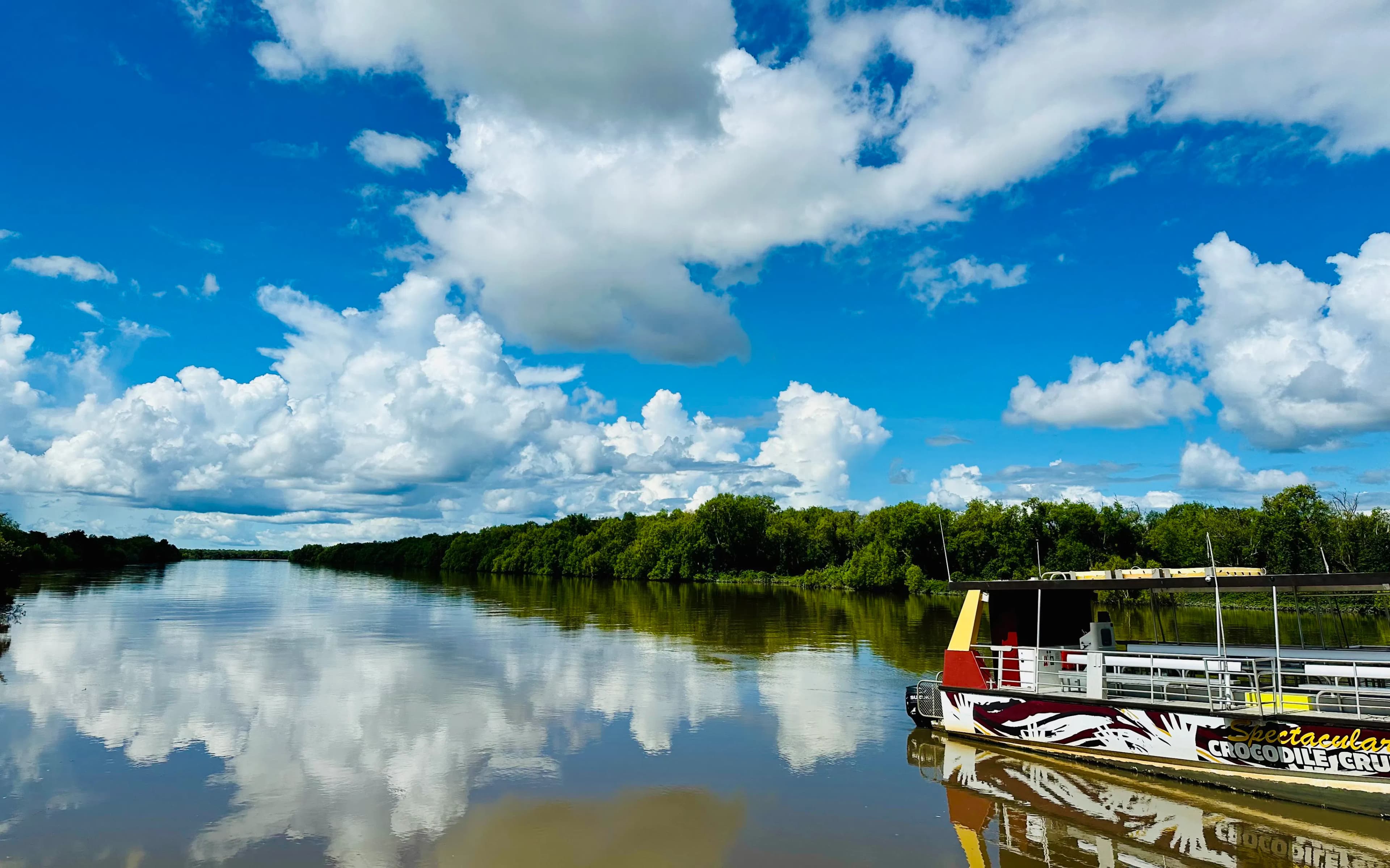 From Darwin: Half Day Tour with Crocodile Jumping Cruise & Return Coach Transfers