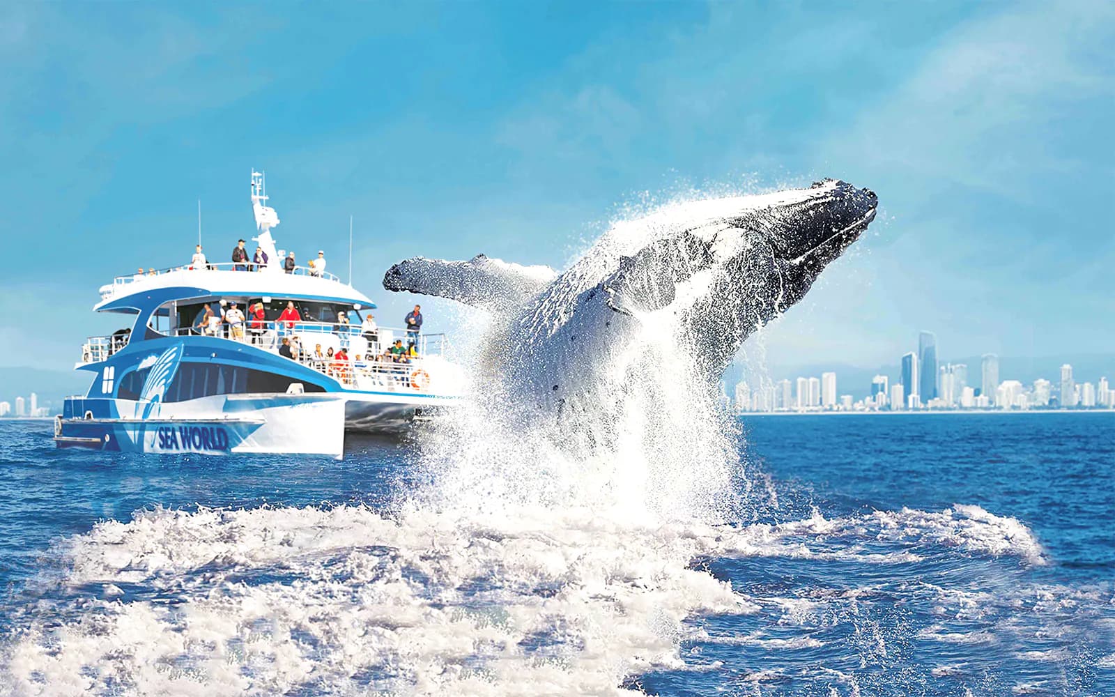 Premium Whale Watching Cruise by SeaWorld