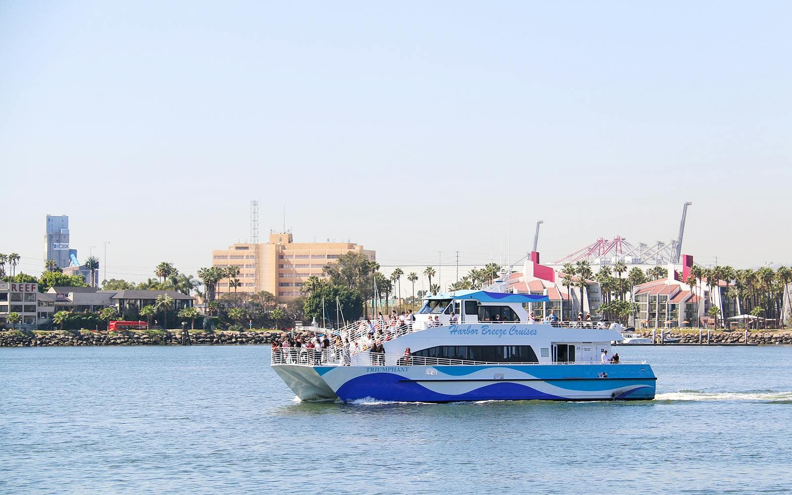 Visite de Long Beach pour observer les baleines et les dauphins