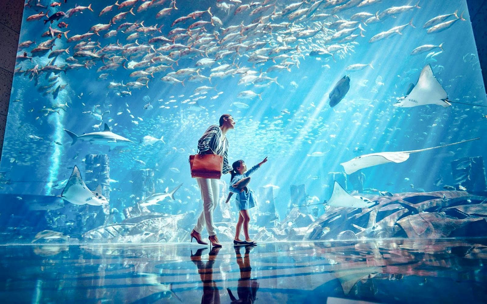 Billets pour l'aquarium The Lost World (anciennement The Lost Chambers) - image 7