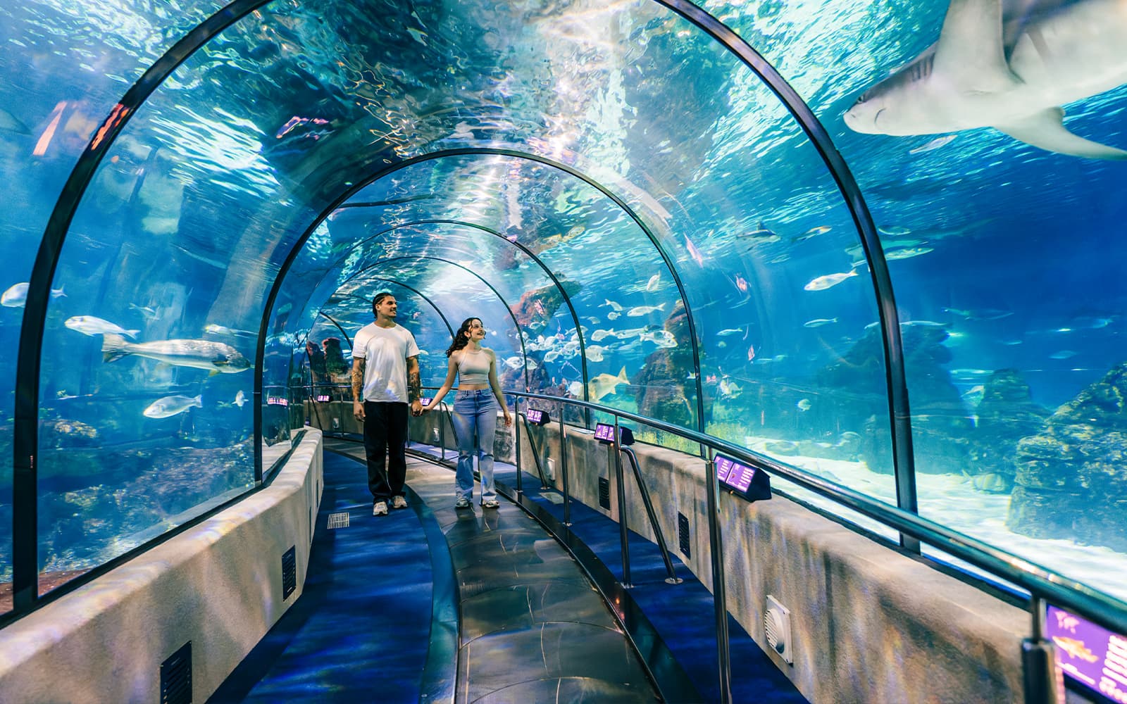 Entradas sin filas al L'Aquarium de Barcelona