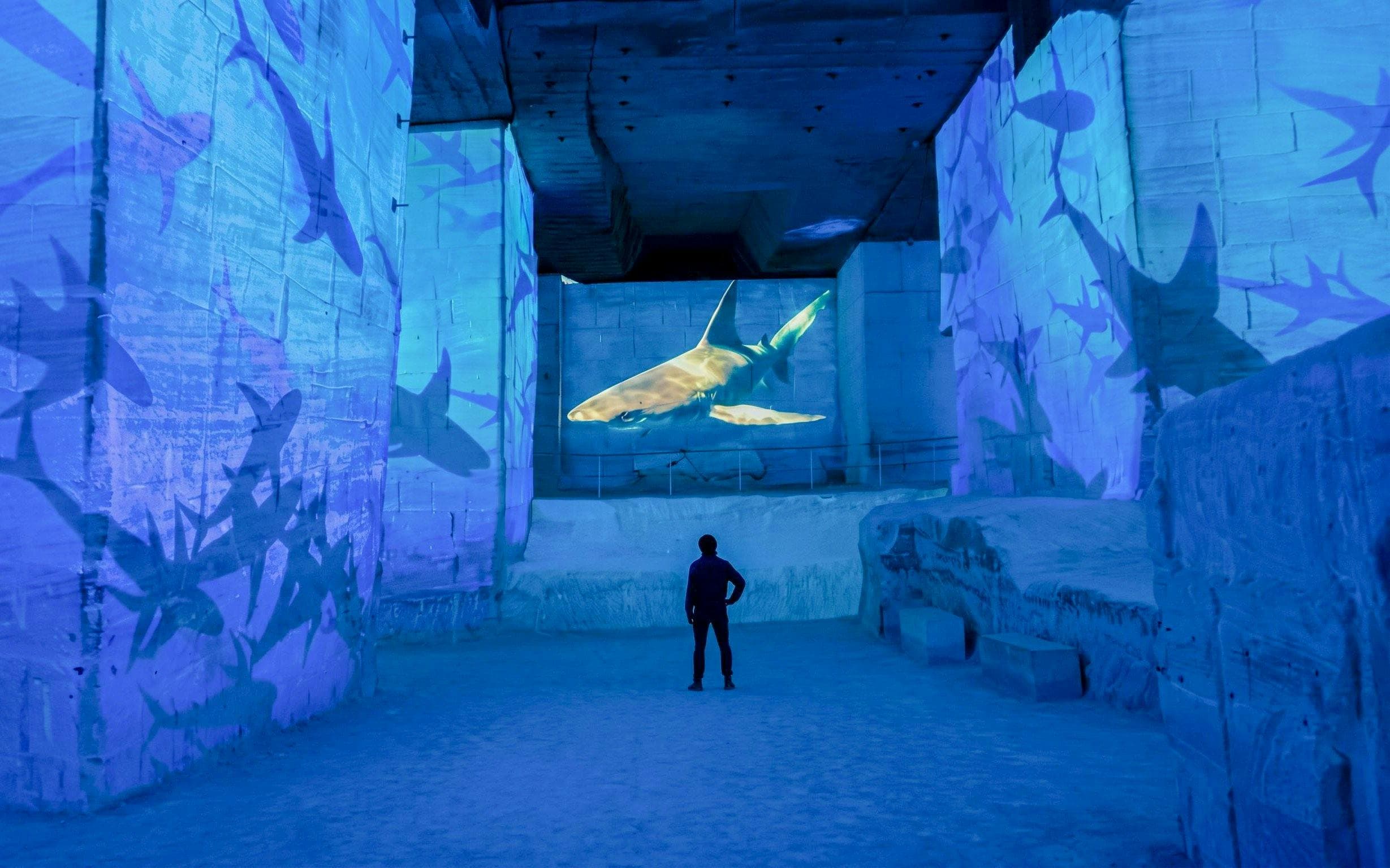 Carrières des Lumières Immersive Experience Tickets - image 2