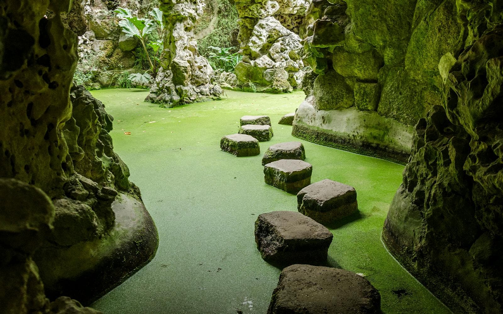 Biglietti per la Quinta da Regaleira - image 4