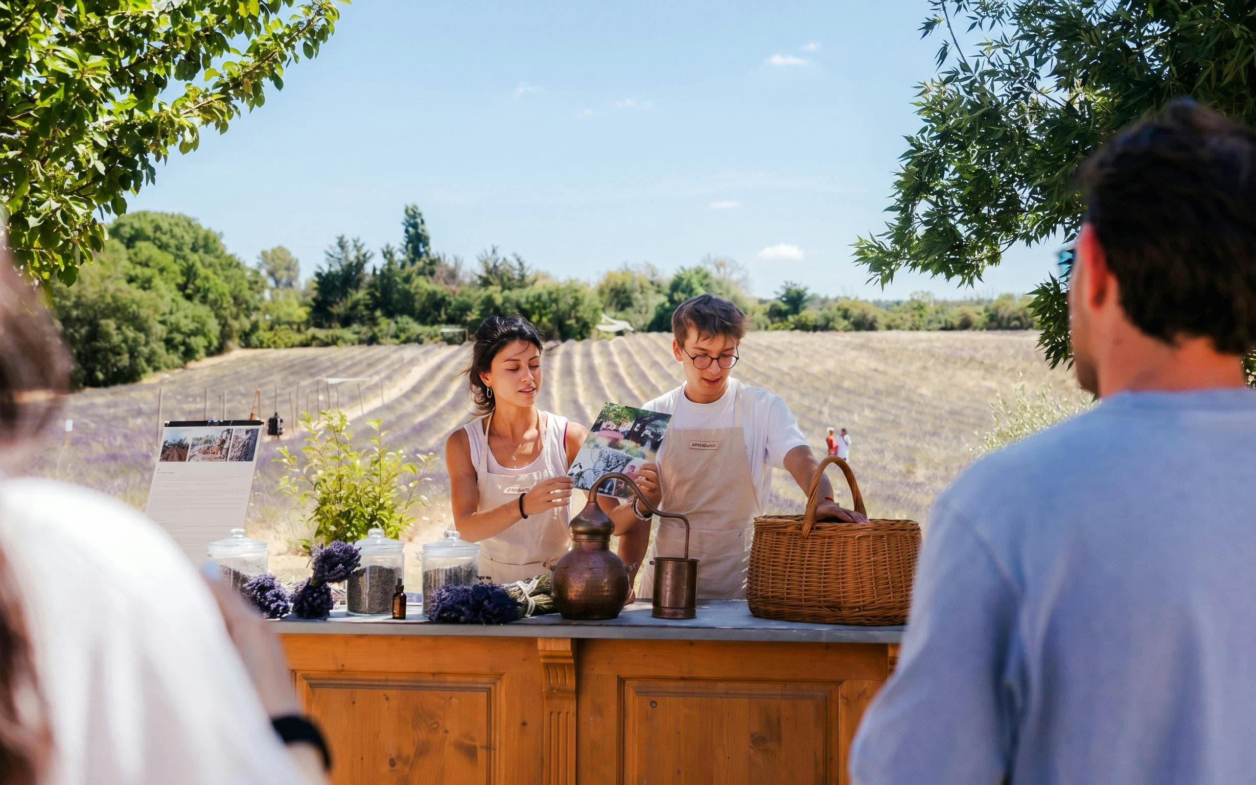Lavender Fields Family Estate Visit - image 4