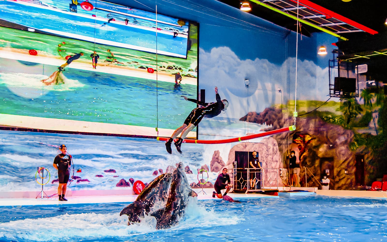 Dubai Dolphinarium: Tickets für die Delfin- und Robbenshow - image 4