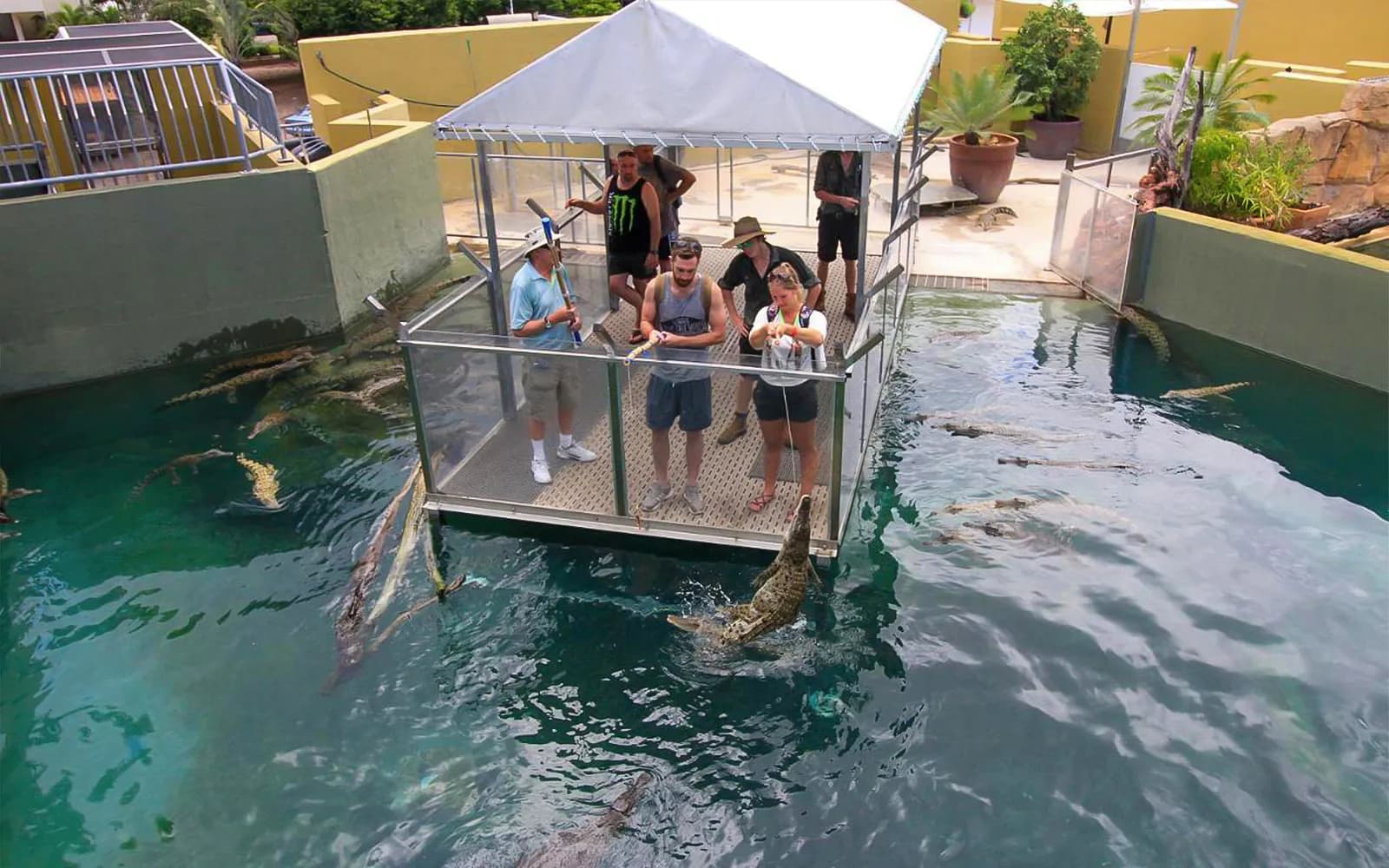 Crocosaurus Cove Tickets with VIP Tour - image 2