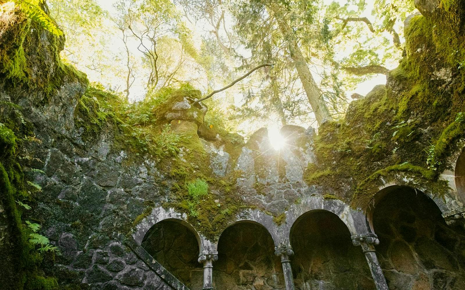 Biglietti per la Quinta da Regaleira - image 7
