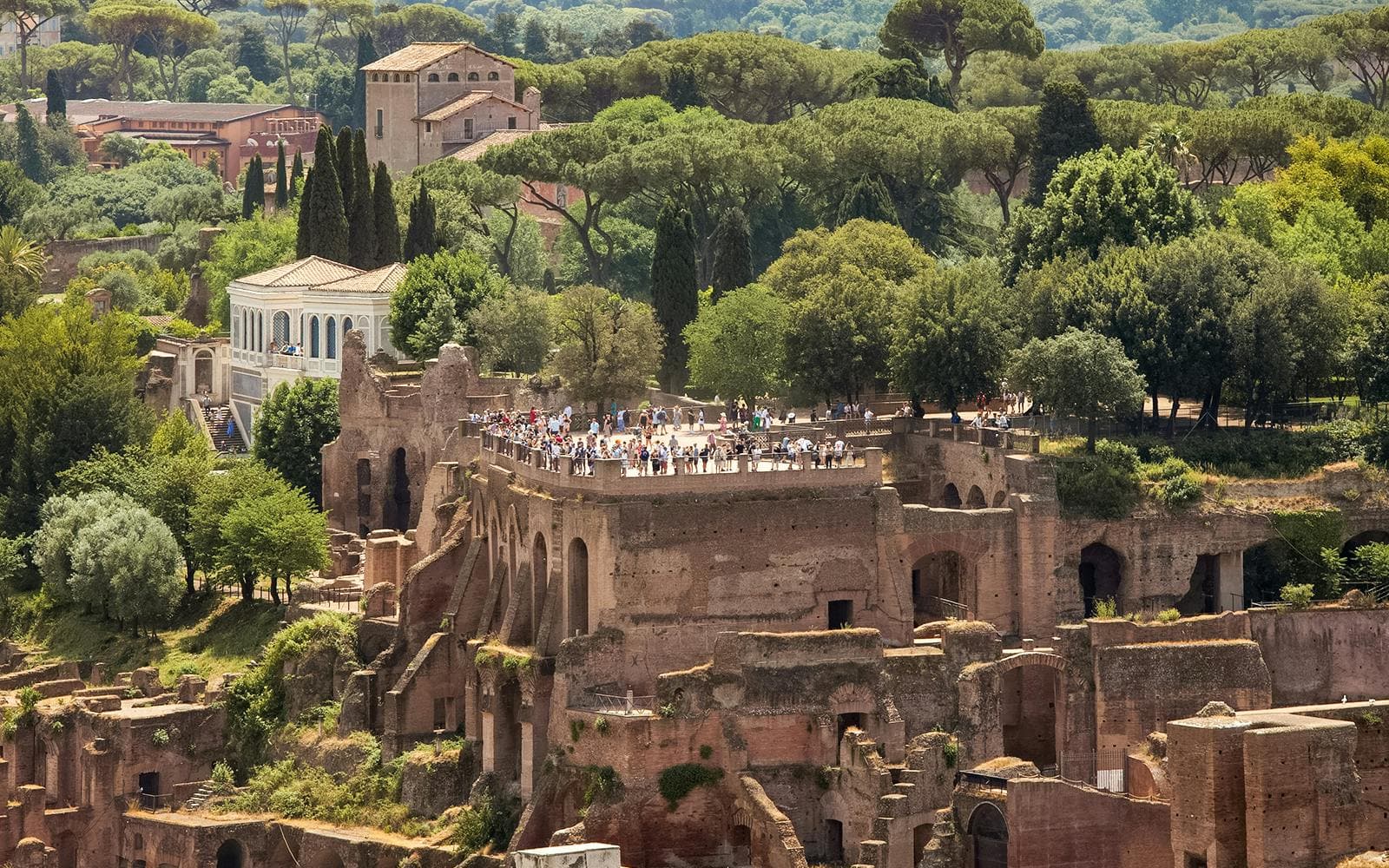 Pase para el Coliseo, el Monte Palatino y el Foro Romano - image 6