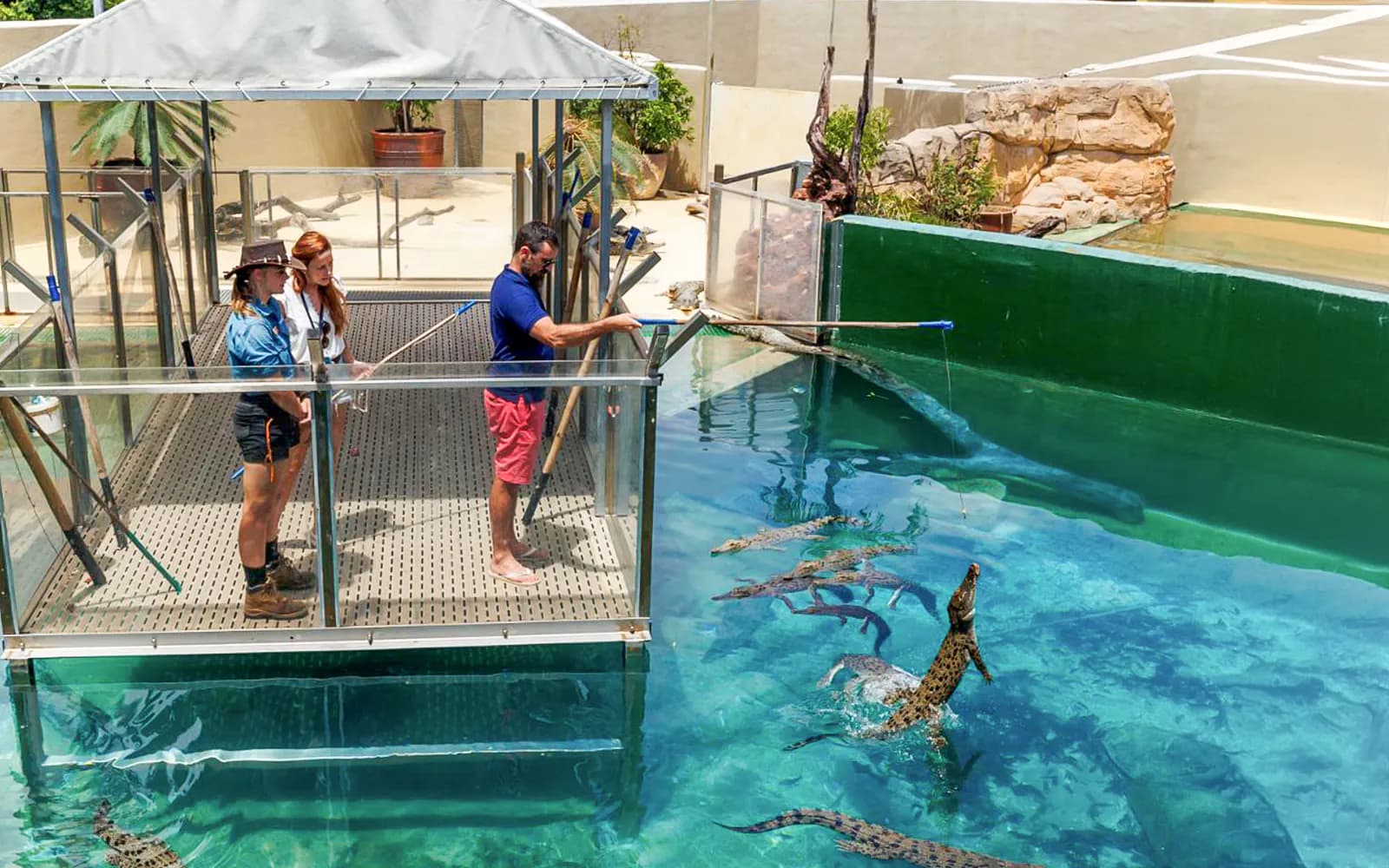 Crocosaurus Cove Tickets with VIP Tour - image 3