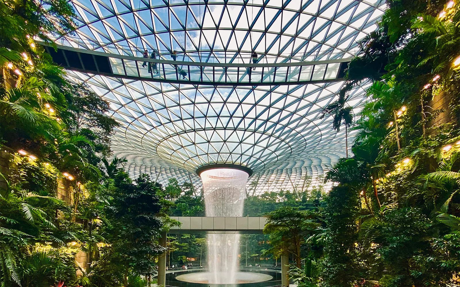 Jewel Changi Canopy Park bilety z siatkami - image 2