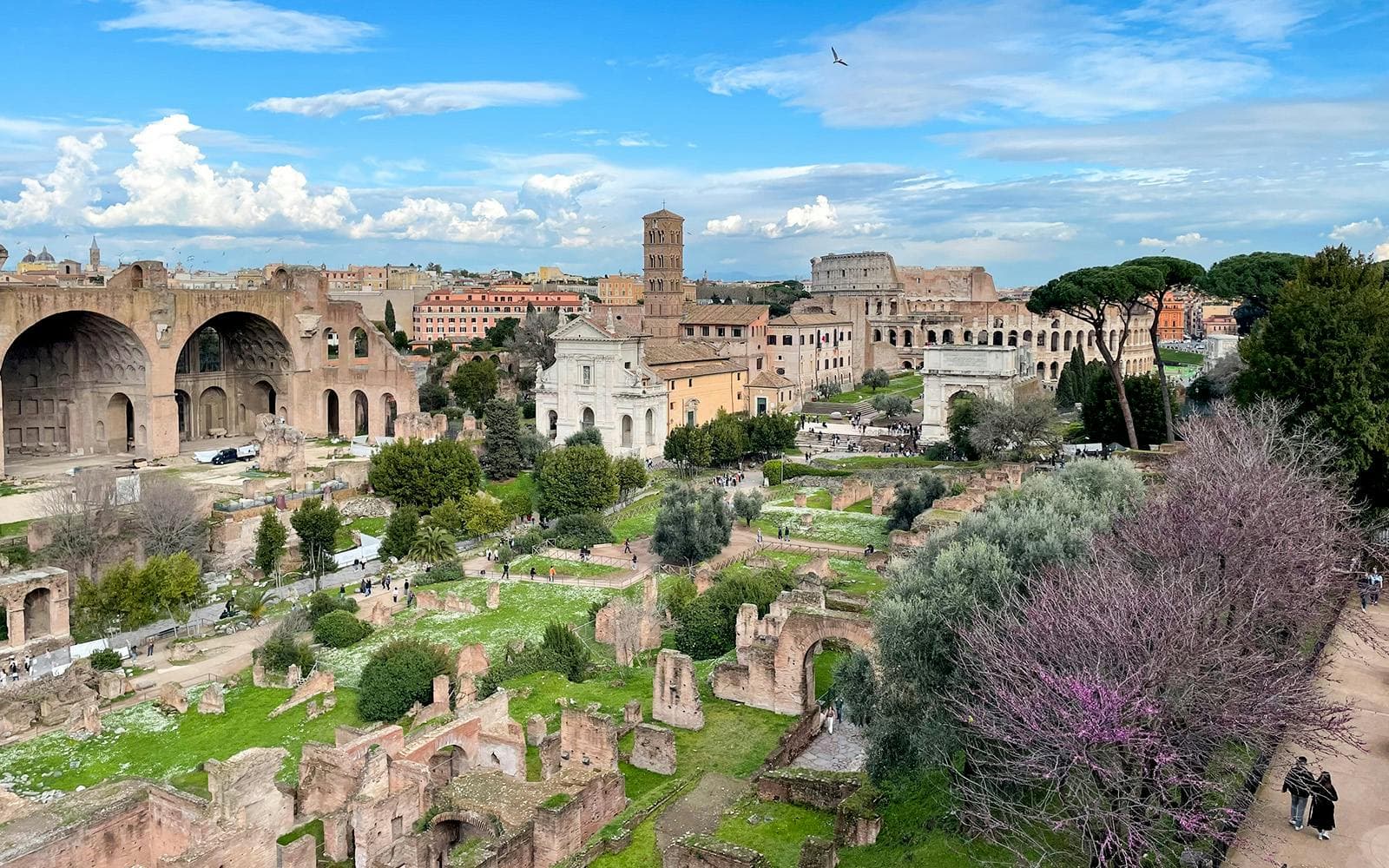 Pase para el Coliseo, el Monte Palatino y el Foro Romano - image 7