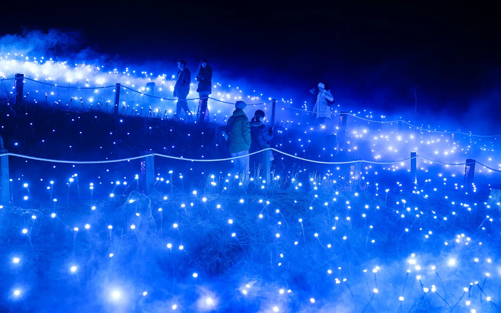 Entradas para Astra Lumina en el Santuario de Vida Silvestre de Currumbin - image 2