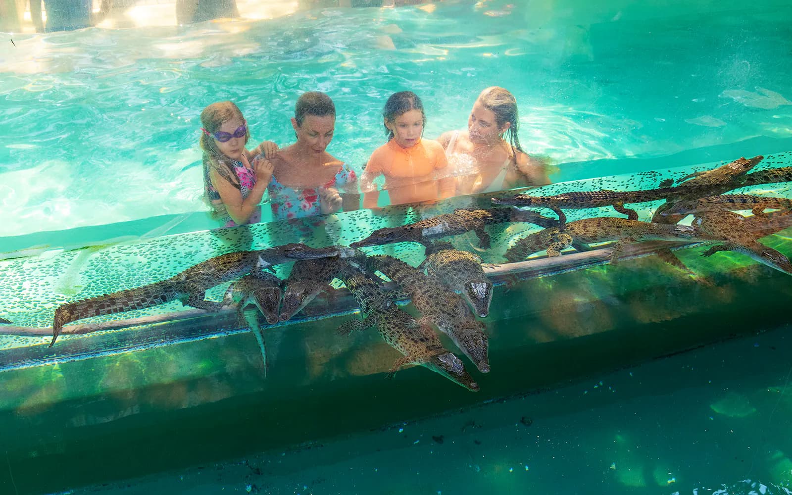 Crocosaurus Cove Tickets - image 10