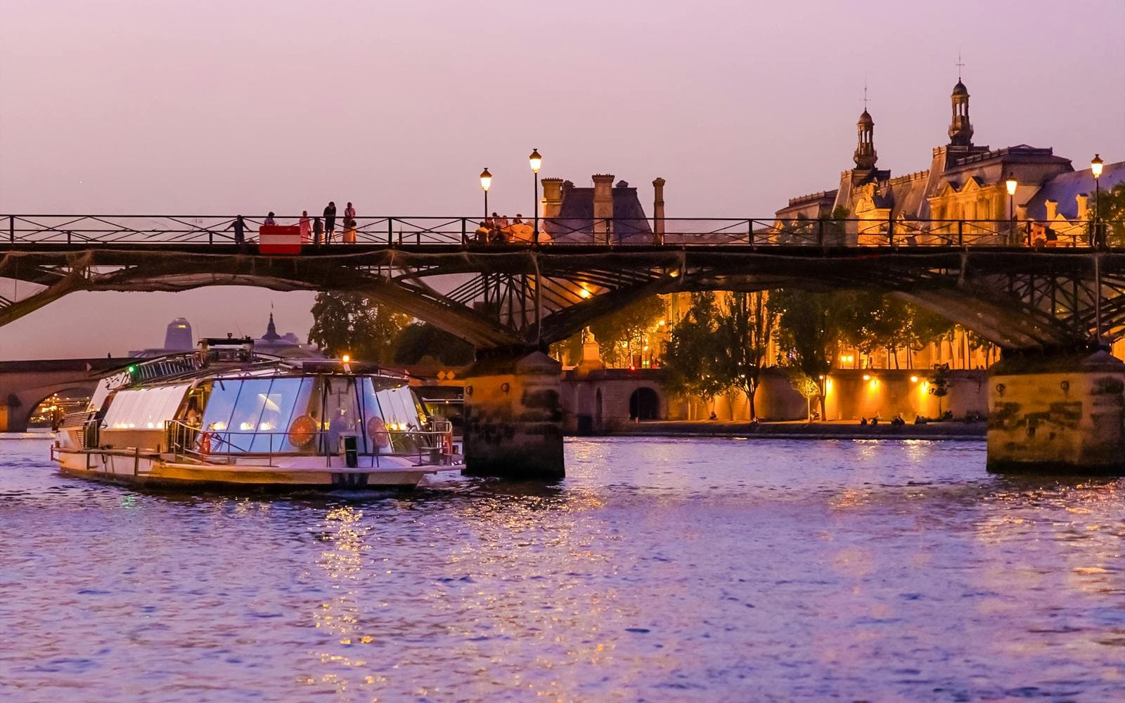 Croisière promenade illuminée d'une heure à Paris en soirée - image 6