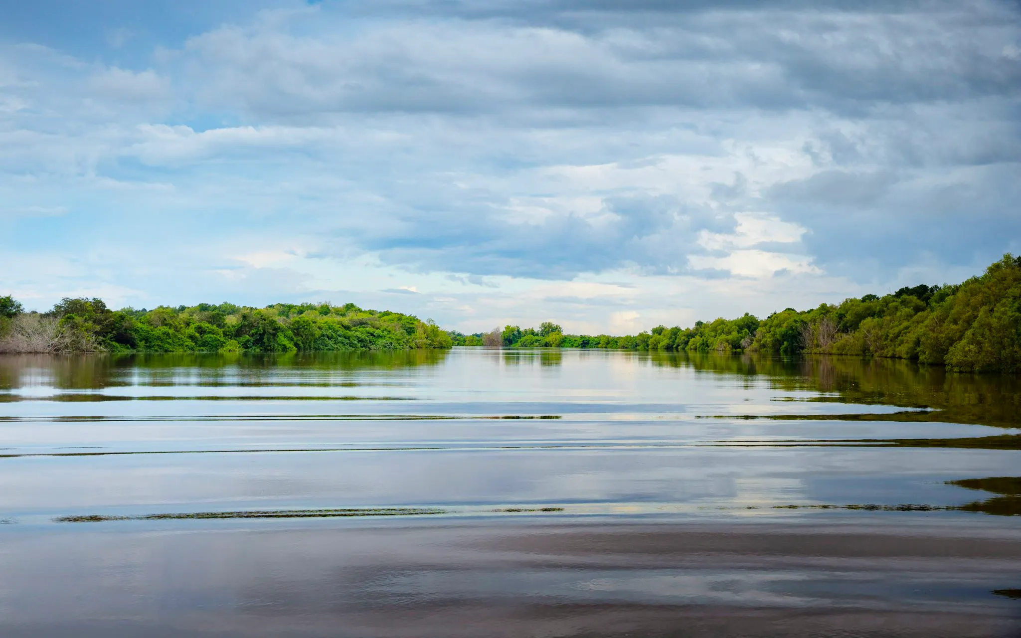 From Darwin: Half Day Tour with Crocodile Jumping Cruise & Return Coach Transfers - image 4