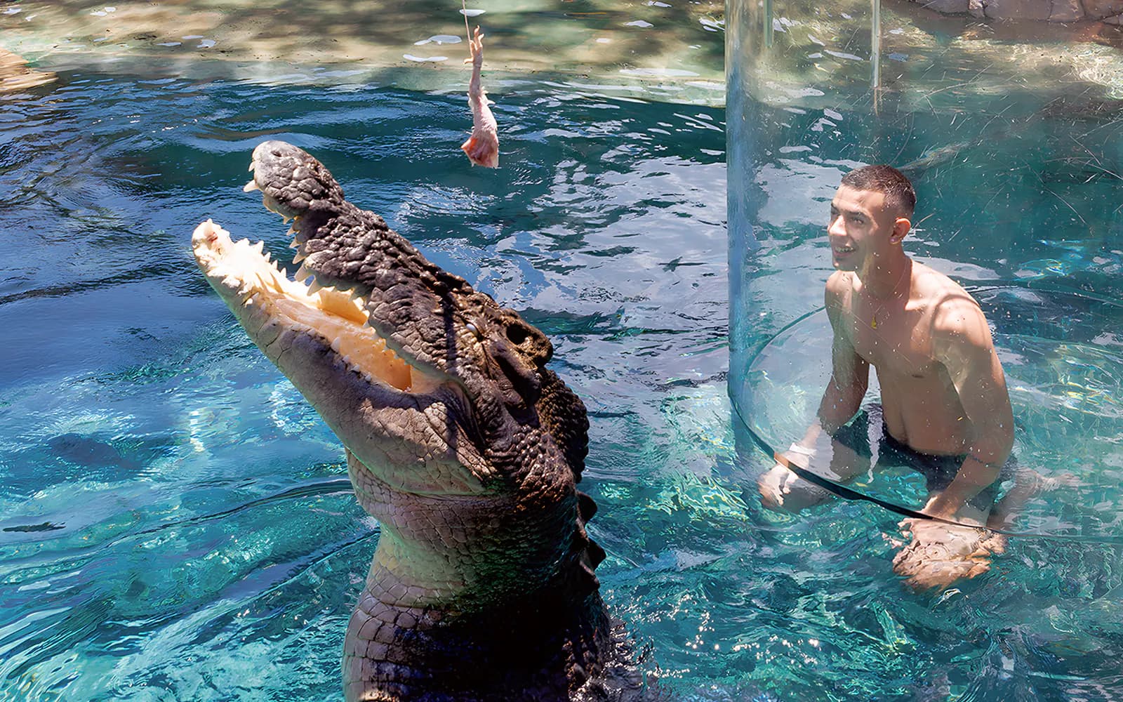 Crocosaurus Cove Tickets with Cage of Death Experience - image 7