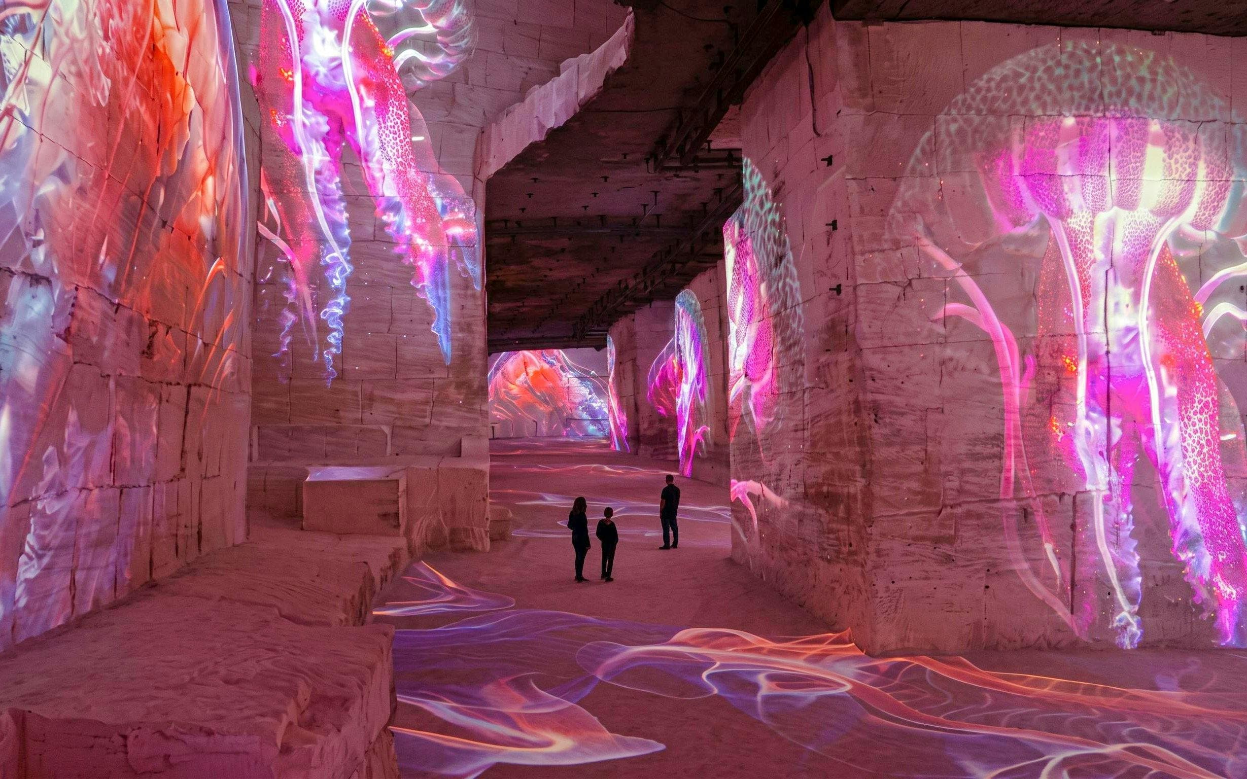Carrières des Lumières Immersive Experience Tickets - image 4