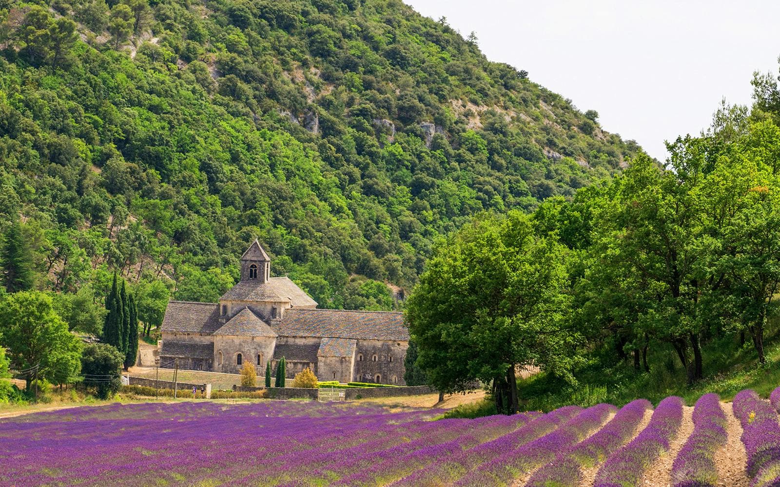 Vanuit Avignon: dagtour langs de lavendelvelden - image 8