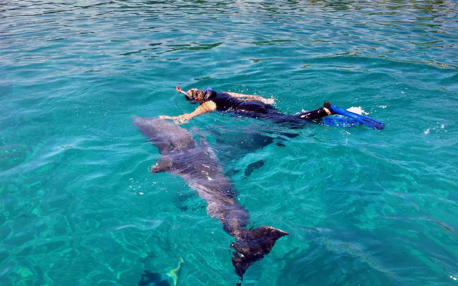 Excursion en hors-bord aux 6 îles Giftun avec observation des dauphins, plongée en apnée, déjeuner et navettes