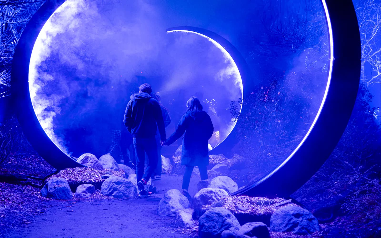 Entradas para Astra Lumina en el Santuario de Vida Silvestre de Currumbin
