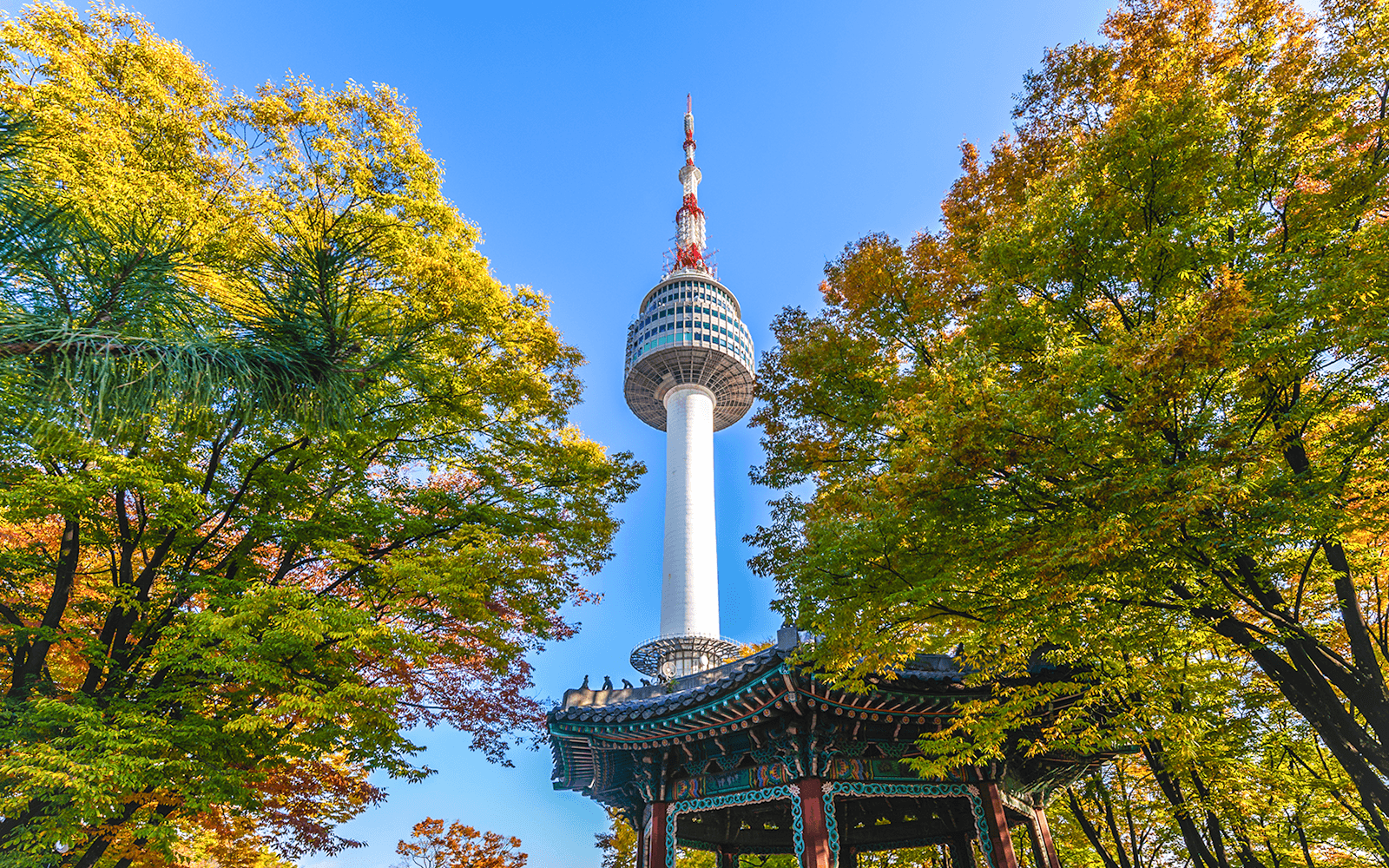 N Seoul Tower Observatory with Namsan Cable Car Round-trip Tickets (Ticket Pick-up before 6 PM: Myeng-dong Rednow)