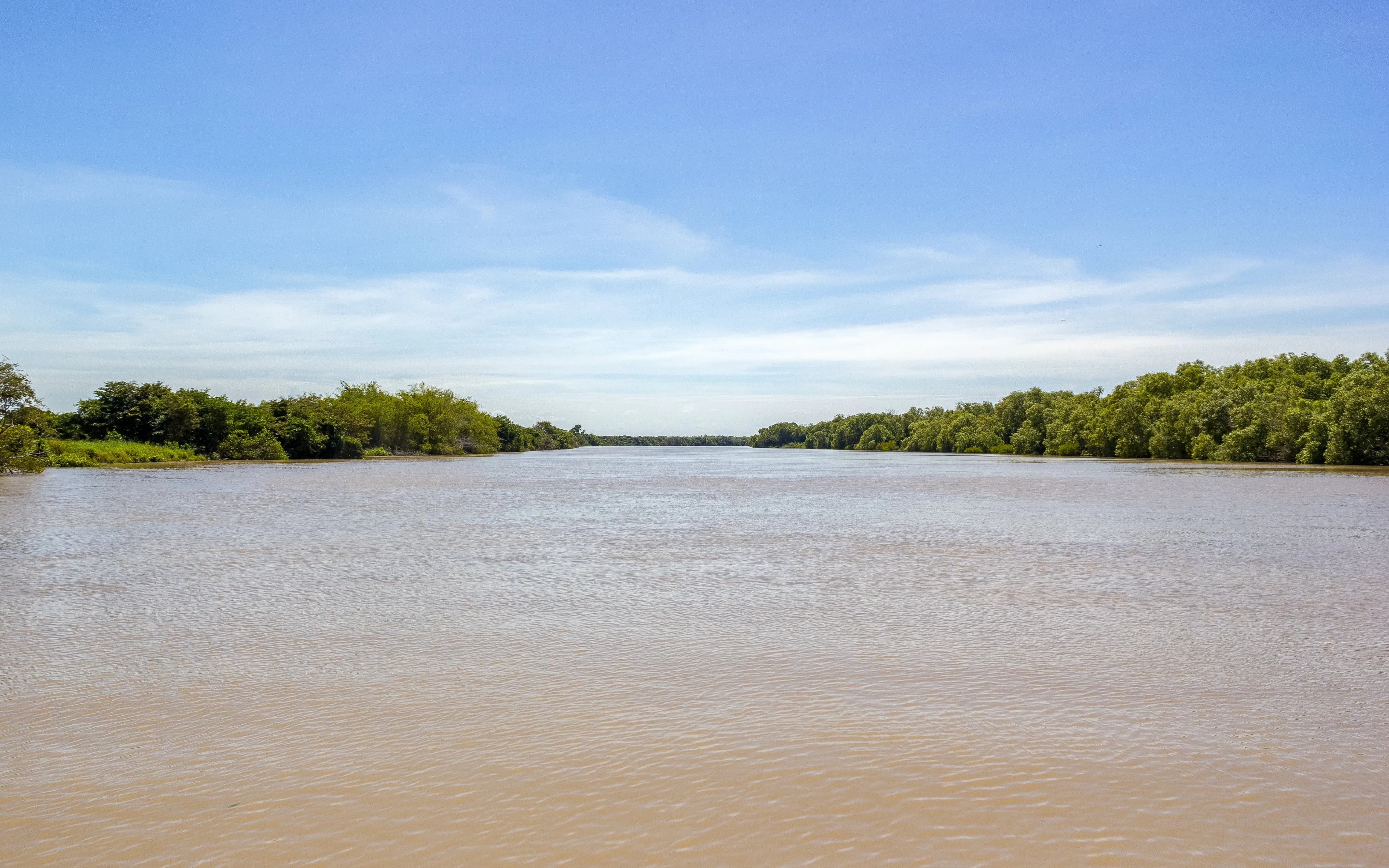 From Darwin: Half Day Tour with Crocodile Jumping Cruise & Return Coach Transfers - image 9