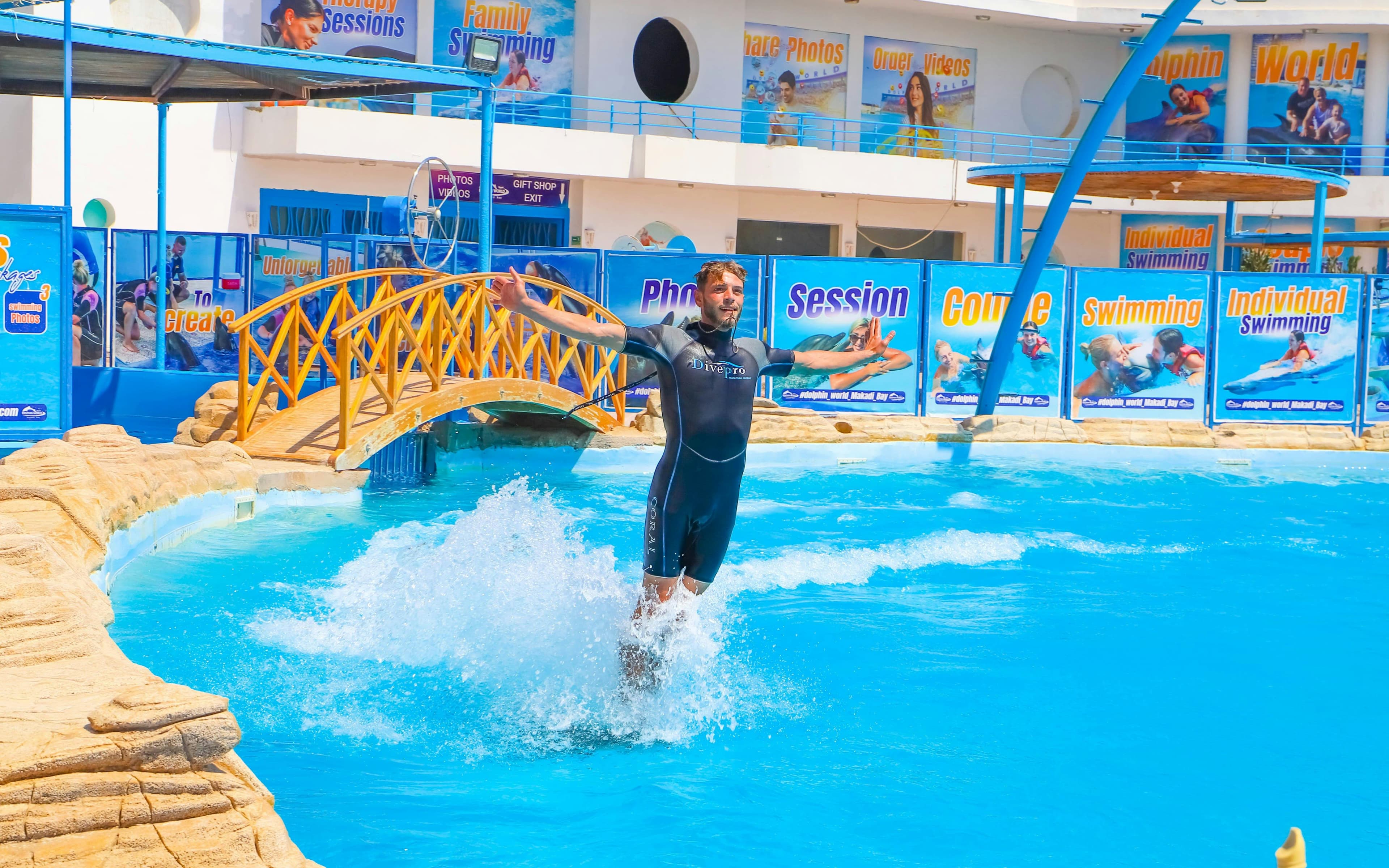 Hurghada Ultimate Dolphin Experience avec spectacle de dauphins, baignade et séance photo avec transferts